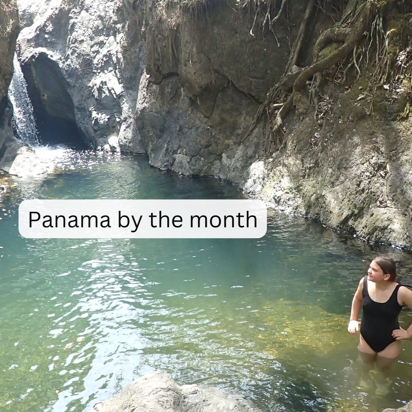 When is the best time to travel to Panama? Here you go. What it's like in this amazing place every month of the year.
https://www.morrillobeachresort.com/post/panama-in-january-february-march-april-may-june-july-august-september-october-november-an (link in bio)
#Morrillo #AdventureTraveler #AdventurePanama #PanamaCulture
#RegenerativeTravel #RegenerativeTourism #TravelBetter
#SustainableTravels #EcoTourGuide #SurfingLife #Regenerate #FamilyTravelAdventures #FamilyTravelMoments
#FamilyTravelIdeas #FamilyTravelAdventure #FamilyTravelTime
#AdventureFamilyTravel #AdventureTravelFamily
#AdventureTravelers #AdventureTraveller #AdventureTraveling