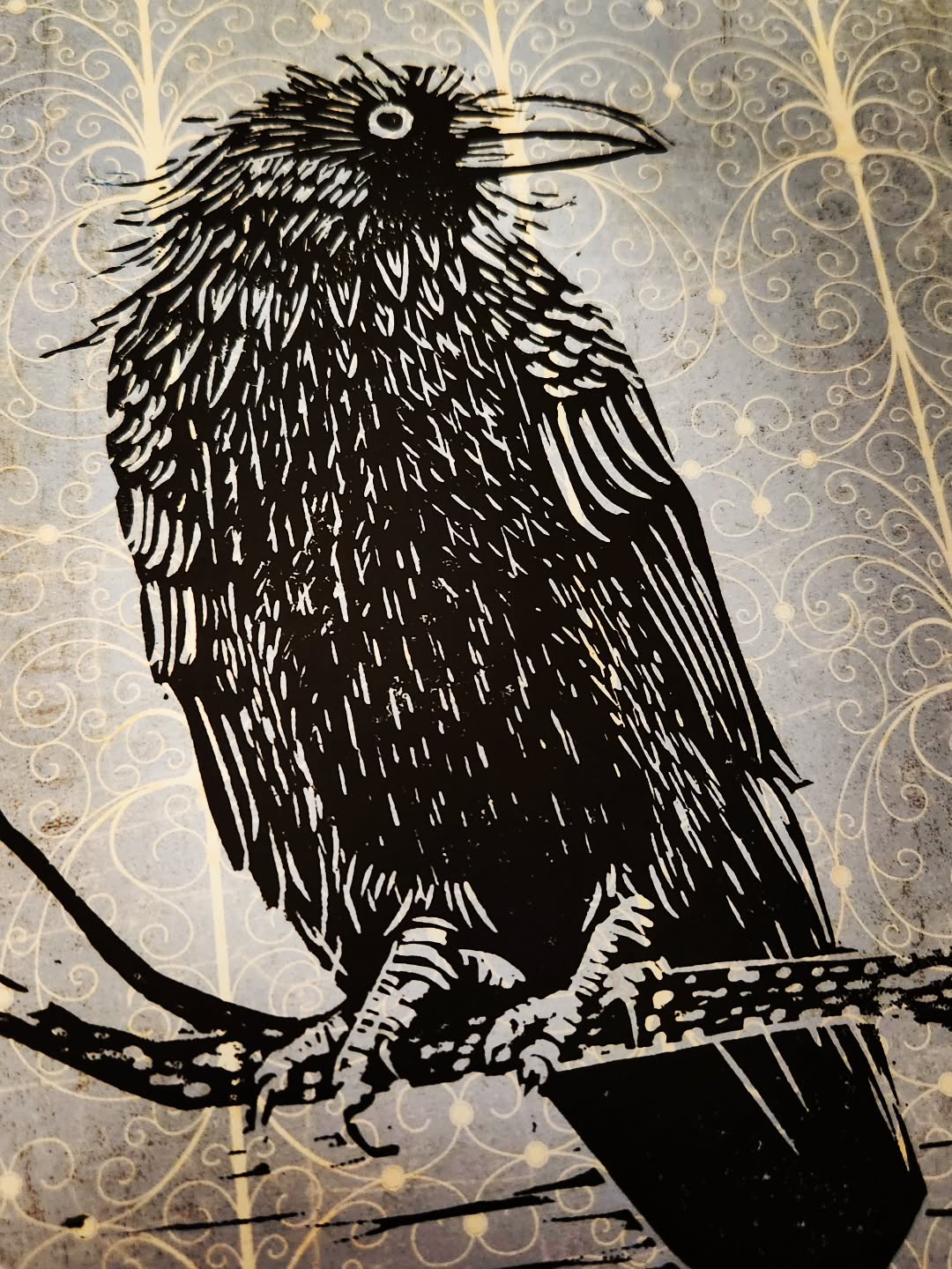 We have the most fabulous village Raven. He spends a lot of time on the posts around the dunes and up above our house perched on a communications mast. He makes a wonderful cronk noise.
#raven
#cronk
#cornwall