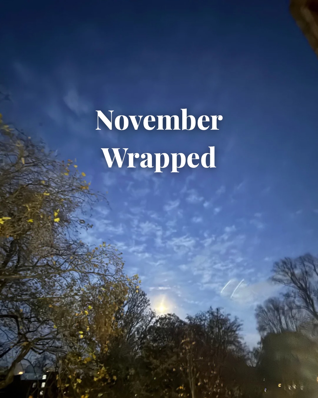 November 2025 ✨
1. Powerful moons
2. Wise words @florencegiven
3. Walk, talk, coffee, nature 🌳 (& losing her phone) 🫣
4. Cosy, twinkly mornings ✨
5. Got to hold my little bestie 🥹 at my charity event 💙
6. Picked up my pot from @craftandcommonuk
7. Held my last circle before Christmas
8. Peaceful vibes
9. Whinnie knows
10. The best products! @drveganco use LAURASYLV at checkout for discount
11. ❌
12. All of the love from the incredible women I have the pleasure of working with! 💗🥹🙌🏻
It’s been a month for sure.
Ups and downs - which is why reflection is crucial.
It helps you recognise all the glimmers from the month no matter how small.
We often move on thinking “I’m glad that months over” or..
“nothing good happened”
Except upon reflection, I PROMISE you there will be something.
Take some time to notice those moments today before you rush into a new month.
Start out in the right energy ✨
If feeling calm and grounded isn’t your natural state or it’s something that you think is difficult, you’ll want to stick around because peace is my middle name 💗
.
.
.
#findinginnerpeace #spiritualhealingjourney #learningtolovemyself