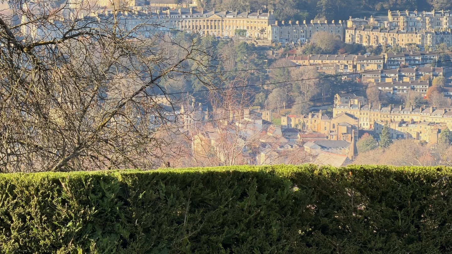 ✨ What an incredible property to work on today!
The views overlooking Bath city were absolutely breathtaking 😍🏙️
It’s that time of year again — the annual trim of the conifers, beech, and laurel hedges ✂️🌿 Keeping everything sharp, tidy, and looking its absolute best.
The sunshine was beautiful, but wow… that frosty chill really made itself known ❄️🌤️🥶
Nothing like crisp winter air and a stunning backdrop to make a job feel even more rewarding!
Another hedge trim complete — onto the next 💪🌱
#HedgeTrimming #GardeningLife #BathCityViews #WinterWork #Conifers #BeechHedge #LaurelHedge #Gardener #BeforeAndAfter #LandscapeMaintenance #CrispMorning #FrostyStart #OutdoorWork #BeautifulViews #UKGardeners #ProfessionalGardener #GardenCare 🌿✨