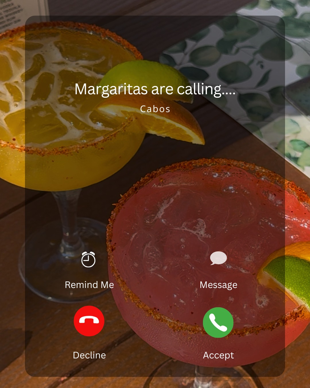 The only call we actually want to answer. 🍹
Come to Cabos on Thanksgiving Eve for drinks and bites before a fun night out!
#caboscantina #margaritas #downtownfortmyers