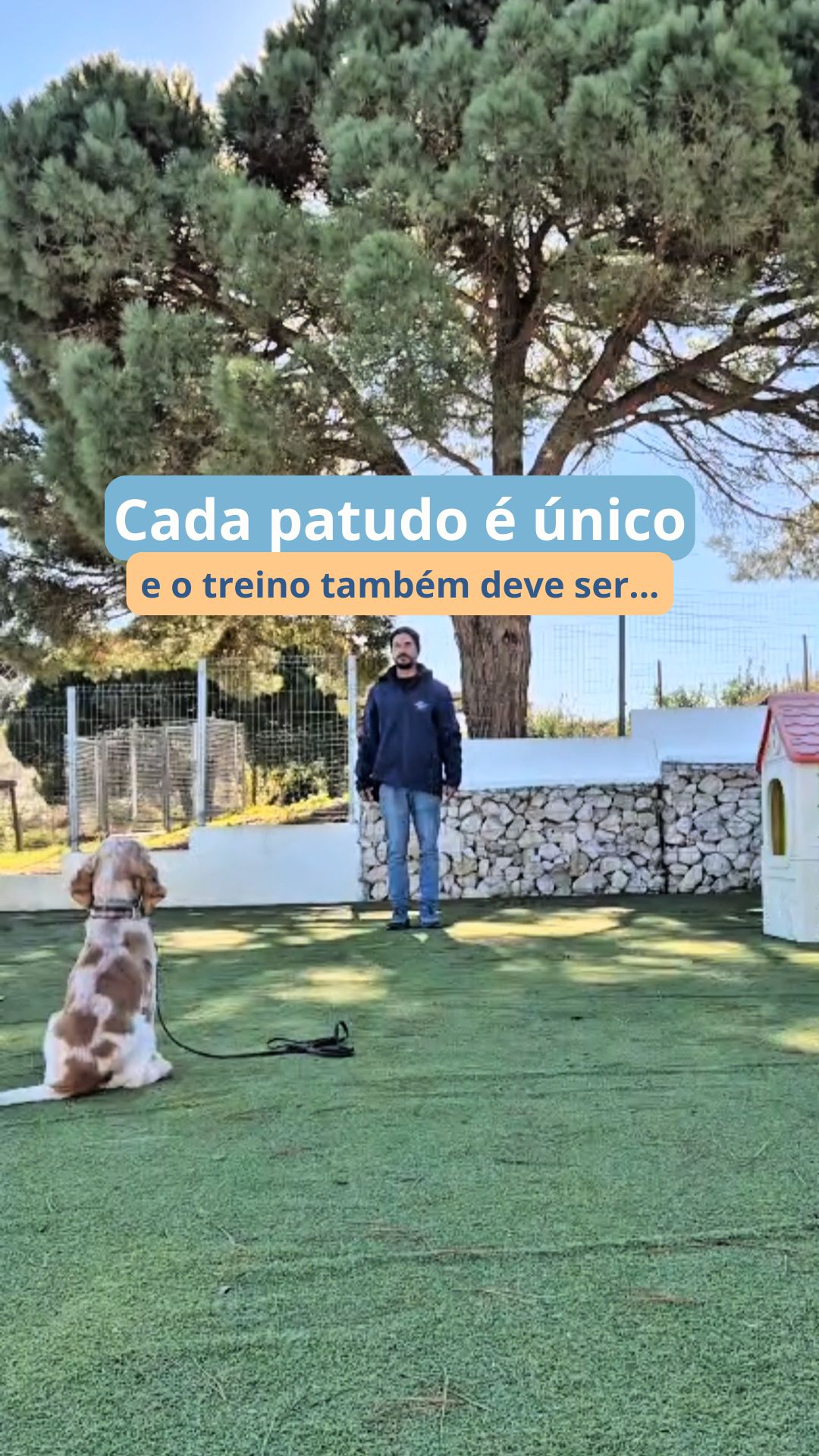 Cada patudo é único e o treino também deve ser. 🐾✨
Não existe um método mágico que funcione para todos, porque cada cão tem a sua história, o seu temperamento e o seu ritmo de aprendizagem.
Quando olhamos para o patudo como um indivíduo, tudo muda:
ganham confiança, aprendem a gerir melhor as emoções e começam a comportar-se de forma mais equilibrada no dia a dia.
O nosso trabalho é simples:
✔️perceber o que cada cão precisa
✔️adaptar o treino às suas capacidades
✔️dar ferramentas aos tutores para continuarem o processo em casa
Porque quando respeitamos o ritmo de cada patudo, a evolução acontece de forma tranquila, consistente e feliz. 💛
Se sentes que o teu cão precisa de apoio, estamos por aqui para ajudar.