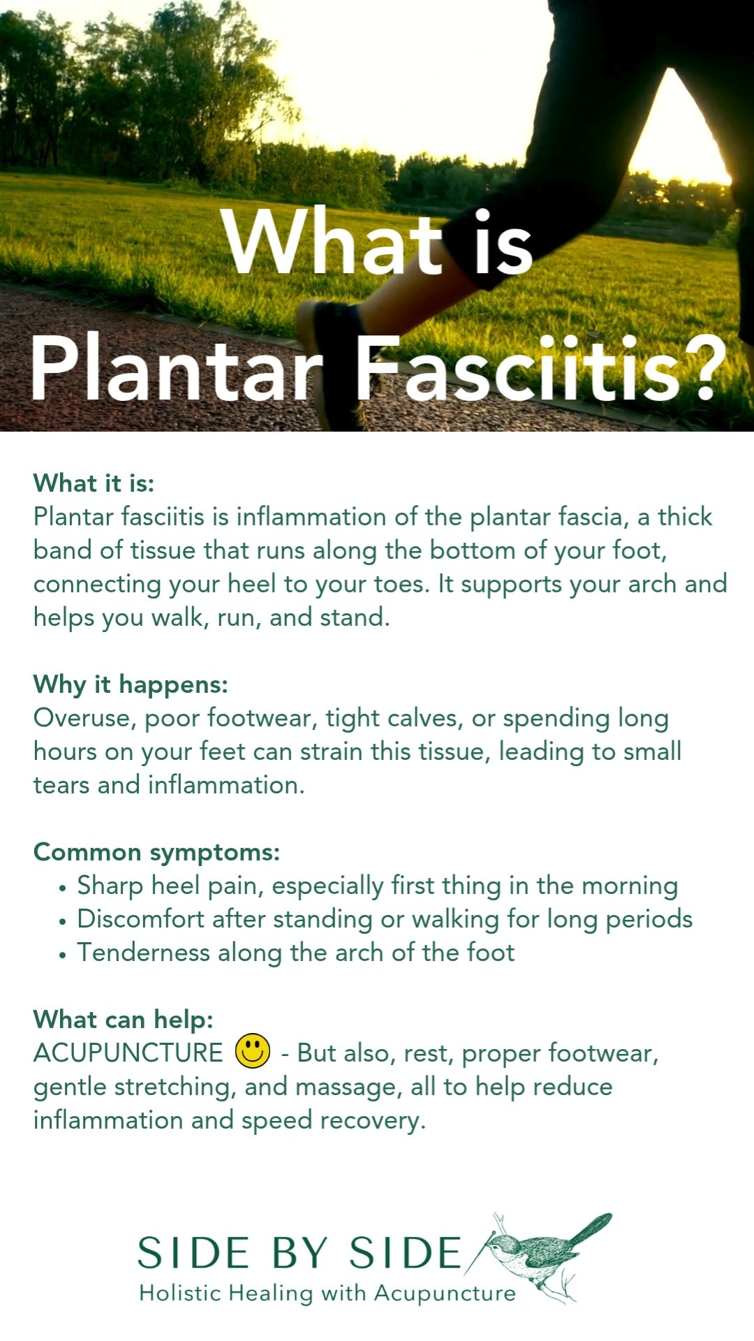 👣 𝗖𝗹𝗶𝗻𝗶𝗰 𝗙𝗼𝗰𝘂𝘀: 𝗣𝗹𝗮𝗻𝘁𝗮𝗿 𝗙𝗮𝘀𝗰𝗶𝗶𝘁𝗶𝘀
Lately, I’ve been seeing quite a few people struggling with heel and arch pain, often diagnosed as 𝗣𝗹𝗮𝗻𝘁𝗮𝗿 𝗙𝗮𝘀𝗰𝗶𝗶𝘁𝗶𝘀.
Acupuncture can be an effective way to reduce inflammation, boost circulation, and support tissue repair. There are some incredible points on the bottom of the foot that target this, 𝙩𝙝𝙤𝙪𝙜𝙝 𝙛𝙖𝙞𝙧 𝙬𝙖𝙧𝙣𝙞𝙣𝙜, 𝙩𝙝𝙚𝙮’𝙧𝙚 𝙣𝙤𝙩 𝙛𝙤𝙧 𝙩𝙝𝙚 𝙛𝙖𝙞𝙣𝙩-𝙝𝙚𝙖𝙧𝙩𝙚𝙙! 😀
With a short course of around 3–6 sessions, many people notice improved flexibility, reduced morning stiffness, and more comfortable walking.
If those first steps in the morning make you wince, it might be time to give your feet a little extra care.
#PlantarFasciitis #AcupunctureForPain #MovementMatters #SBSAcupuncture