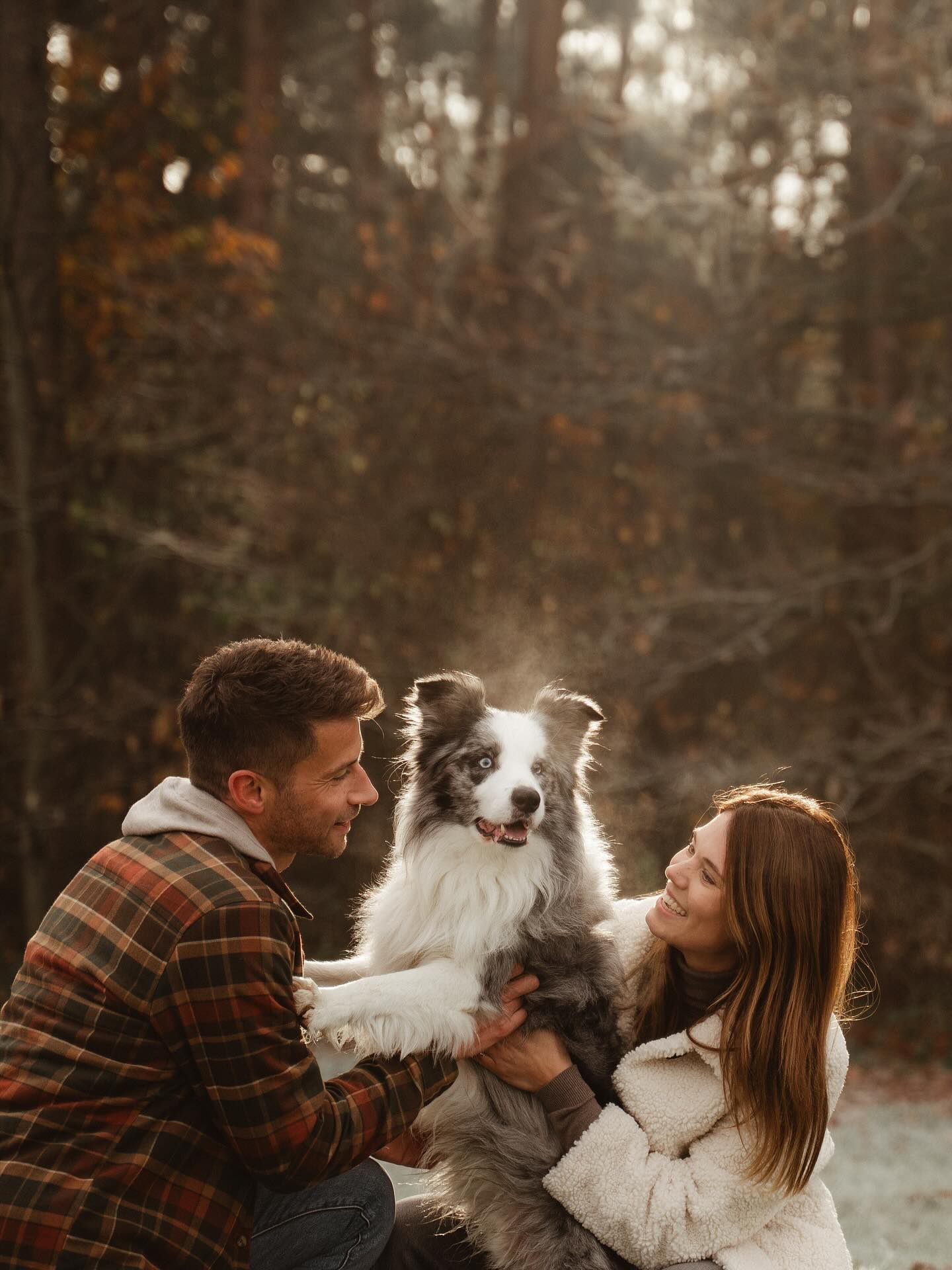 Wanneer je een shoot boekt in de winter kan het wel eens zijn dat we moeten verplaatsen door regen en wind… maar als alles goed zit, kan dat toch zo schoon zijn. Een beetje vrieskou, een prachtig koppel, de leukste hond en dat mooie ochtendzonnetje. Wauw. 🧡
