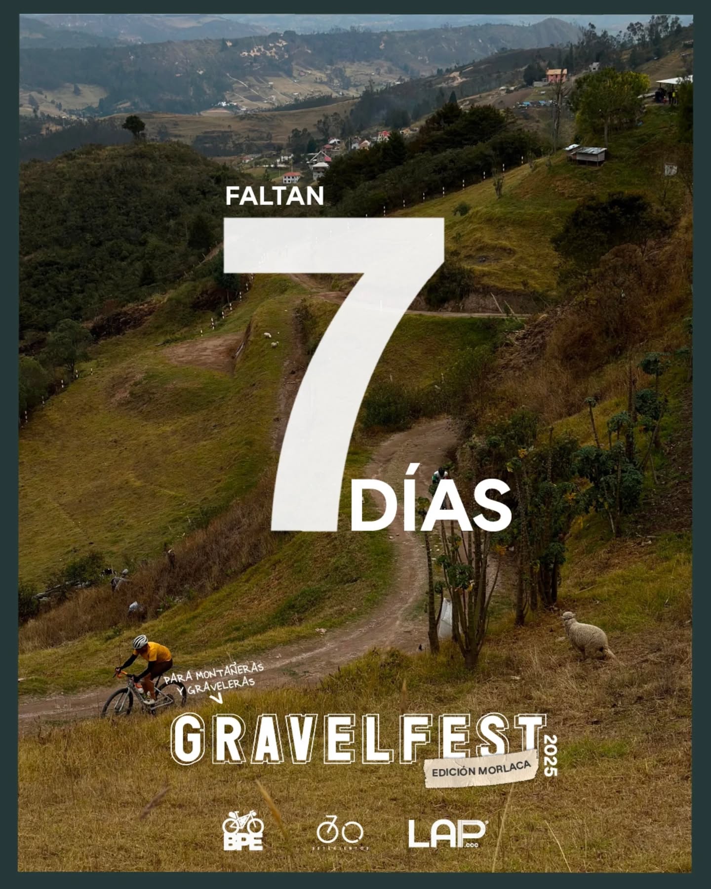Ya solo faltan 7 días para la última del año.
125Km de Gravel, y fiestón en Turi. ¡Todos invitados!
Te recordamos que las inscripciones son hasta el miércoles 3, 19:00h.
El proceso de inscripción consta de dos partes:
1. Registro en nuestra web www.bikepackingecuador.com , link bio 👆
2. Pago de la inscripción, esto puede ser en línea en www.setecientos.cc link bio 👆, o en tiendas @setecientos.cc y @lap.ccc
Evento gracias a:
@shimanoecuador
@specializedec
@toscana.alimentos
@pirelli_cycling
@skratchlabs.ec
@naturhotel_
@lataqueria57cue
@593premiumlager