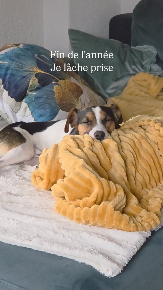À toutes les personnes qui sont stressées, sous tension, épuisées ; faites comme Lewis, mon fidèle adepte du Savasana et des méditation, respirez et prenez du temps pour vous ❤️🙏🏻😊✨️🐶#