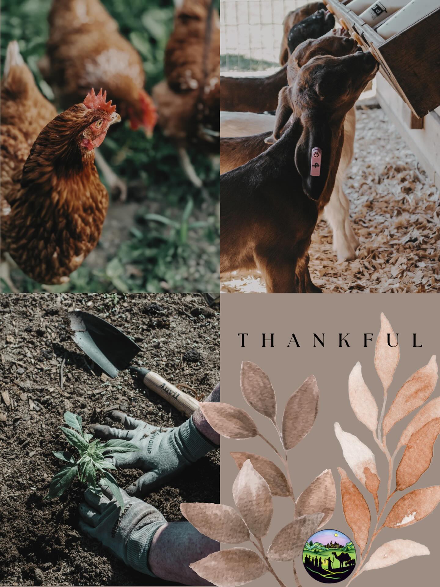 We’re so thankful— for your support, our community, and our Jesus. Wishing you a Happy Thanksgiving!