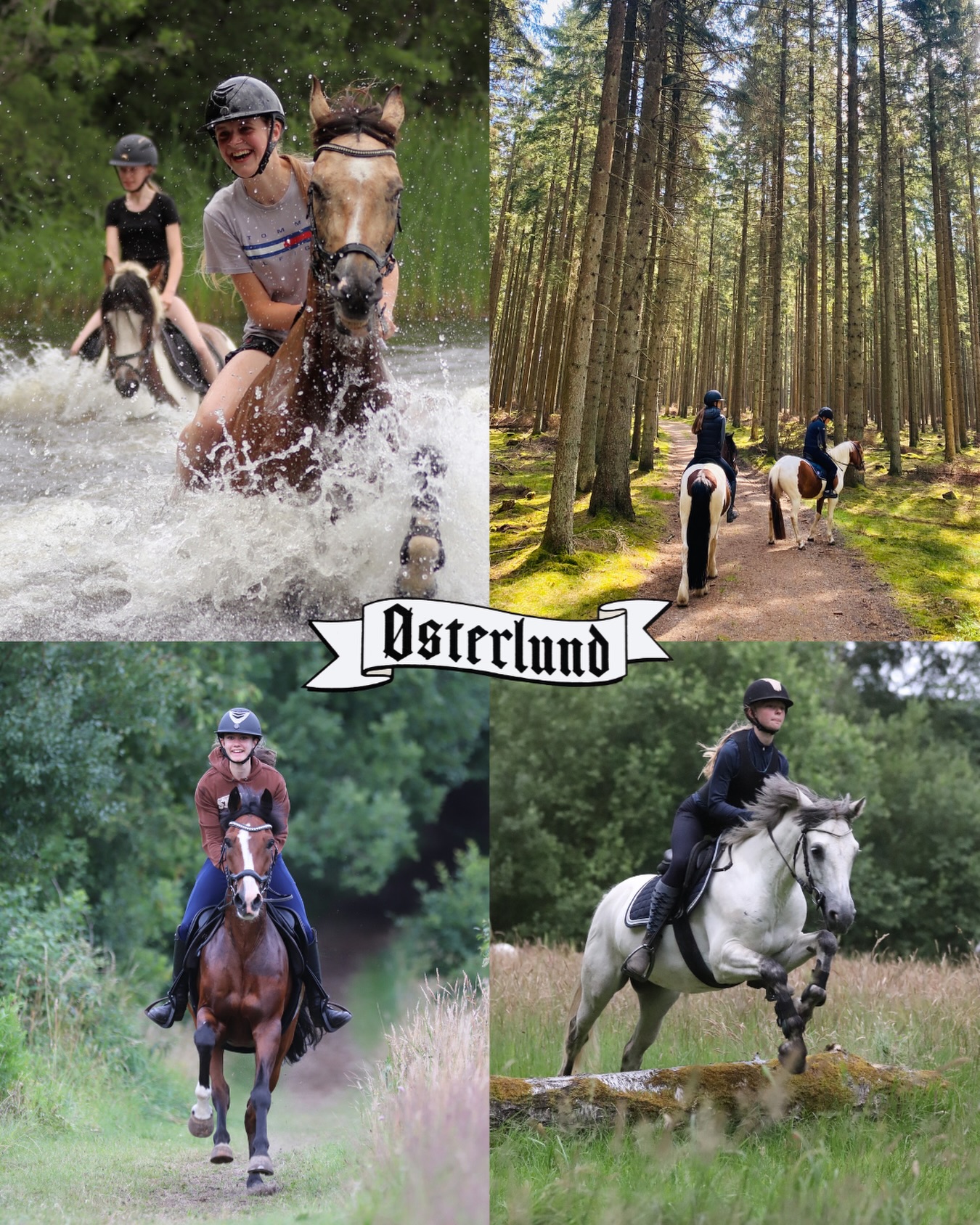 Nogle af de aktiviteter vi laver på Østerlund👆🏼Vi bader med hestene, rider skovture, galopbakkem, springer i naturen- og meget mere!!🥳🦄🤠
Hvis du vil med på Danmarks Sjoveste Ridelejr til sommer, har vi pt ledige pladser med egen medbragt pony/hest i alle 3 uger (der er ikke mange pladser tilbage i uge 27). Alle pladser på elevpony/hest er udsolgt. Tilmelding foregår på vores hjemmeside- kontakt os gerne ved spørgsmål❤️ #østerlundridelejr #danmarkssjovesteridelejr