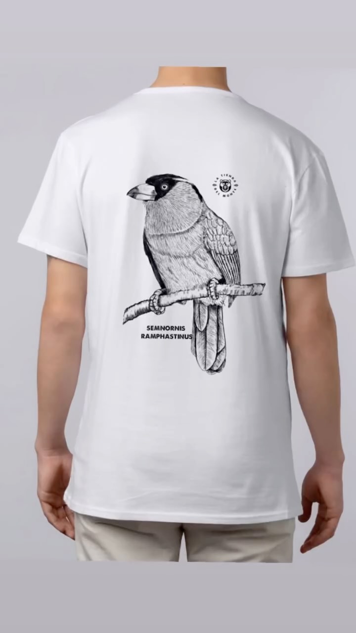 El compás 🔥
En las mañanas frías del bosque nublado, antes de que la luz toque las hojas, se escucha un ritmo profundo.
Es el ave Compás, marcando el comienzo del día con su llamado inconfundible.
Lo ves aparecer entre las ramas: colores que parecen pintados a mano, un pequeño guardián que mantiene vivo el equilibrio del bosque.
Cada vez que el Compás canta, el bosque responde.
Semillas viajan, nuevas plantas nacen, y la montaña respira un poco más.
En @latiendadelmonte tomamos esa historia y la llevamos a tus manos.
Prendas e ilustraciones que recuerdan que la vida late en cada rincón del bosque.
Este es el ritmo de la montaña… y ahora también puede ser parte del tuyo.
Una ilustración hermosa de @naturaleza.ilustrada para sumarle a la familia.
Colombia, el país de las aves
www.latiendadelmonte.com
#biodiversidadcolombiana #naturelovers #latiendadelmonte #naturaleza