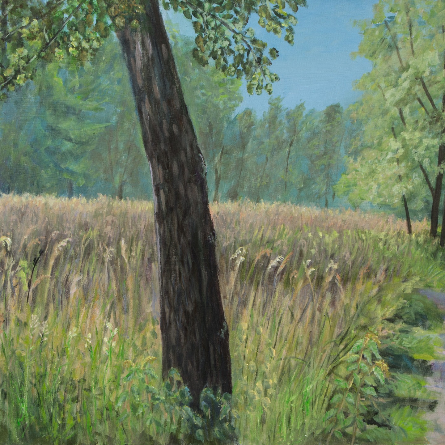 Et voici un tableau bien estival! Dernière semaine de notre exposition GRENGSPITZ au musée de Morat. Finissage ce dimanche le 14 décembre avec une visite guidée bilingue à 15h!
Venez nombreux!