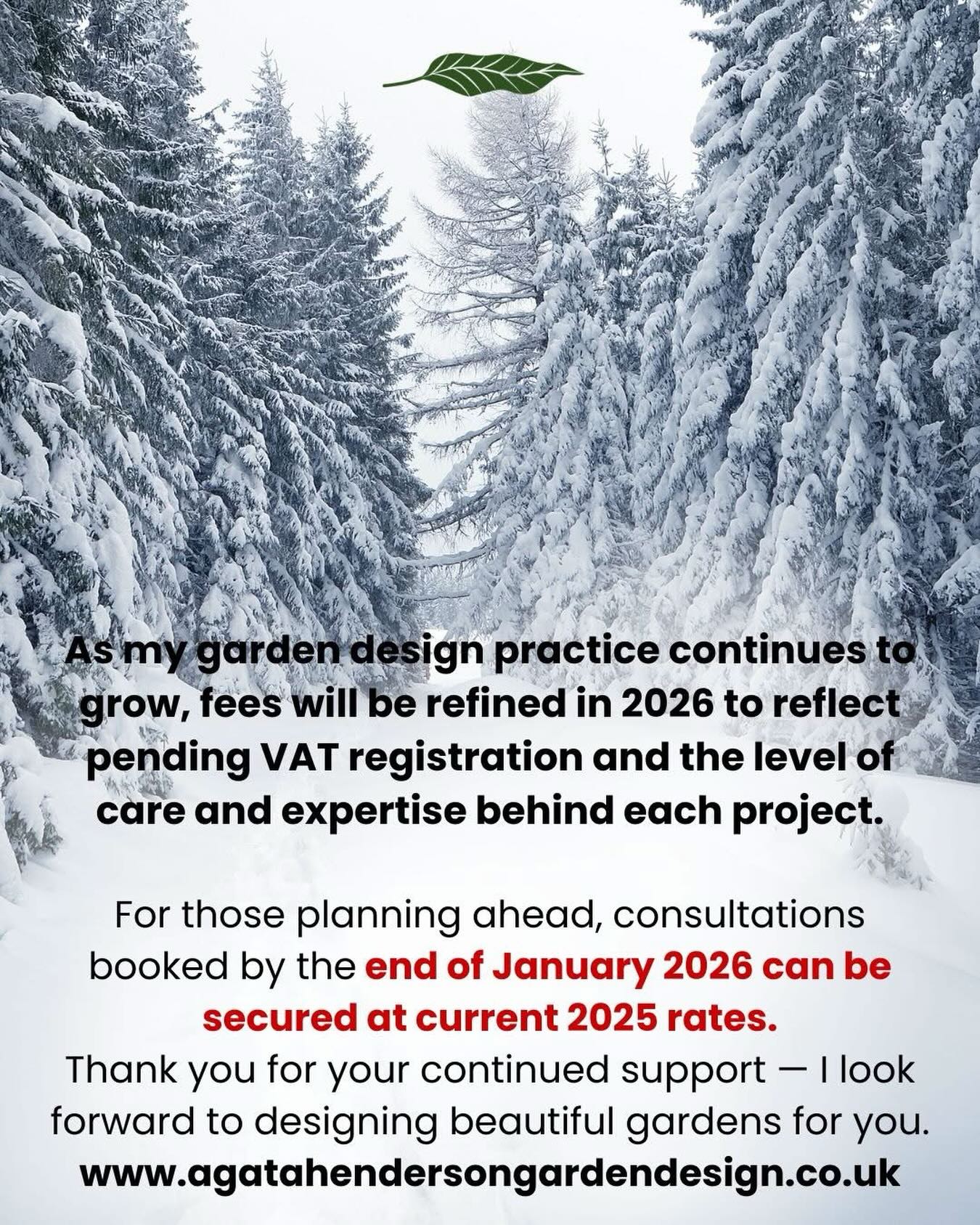 As the year draws to an end, I had to make a difficult decision to increase prices for my garden design services. Last years was incredibly successful and the VAT registration in inevitable. For any of you waiting for the Christmas madness to be over to start planning for major transformations in 2026, if you book your consultation and sign the contract by the end of January, you are guaranteed to keep 2025 prices. New packages will be advertised soon.