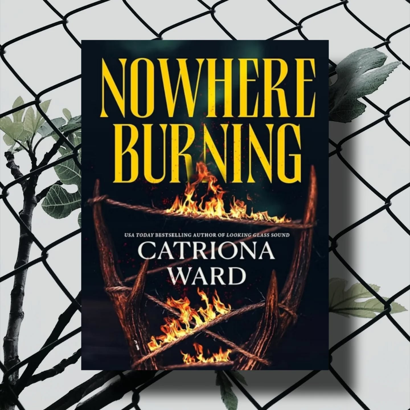 New review up for @catward66 upcoming new novel Nowhere Burning out on my blog! So good! Definitely check this one out! Link in bio or go to www.juliaclewis.com
#catrionaward #nowhereburning #bookreviews