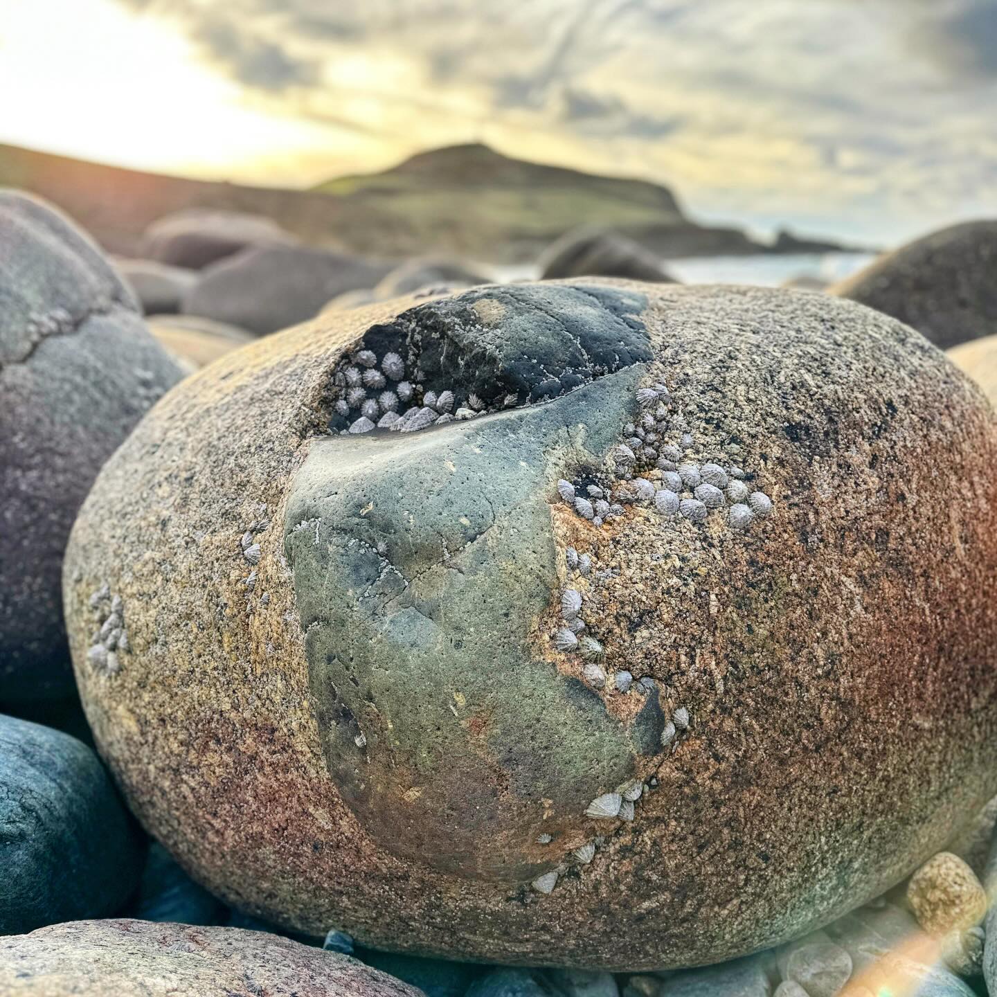 Cornwall Geowalks coming up this December…
Cape Cornwall (half-day) - Monday 1st December
Book now: https://www.cornwallgeologist.co.uk/event-details-registration/cape-cornwall-guided-geowalk-half-day-monday-1st-december-2025
Coverack (half-day) - Friday 5th December
Book now: https://www.cornwallgeologist.co.uk/event-details-registration/coverack-guided-geowalk-half-day-friday-5th-december-2025
St Ives (half-day) - Monday 8th December
Book now: https://www.cornwallgeologist.co.uk/event-details-registration/st-ives-guided-geowalk-half-day-monday-8th-december-2025
Tin Coast (half-day) - Monday 15th December
Book now: https://www.cornwallgeologist.co.uk/event-details-registration/tin-coast-guided-geowalk-half-day-monday-15th-december-2025
Cornwall Geowalks are guided geology walks around Cornwall’s world-class geological sites and areas of outstanding natural beauty, guided by me! Please see the website for more details. Links in bio.
#geowalks #geotalks #learninggeology #geotours #education #geologyeducation #cornwall #cornwallcoast #cornishcoast #walkingcornwall #explorecornwall #lovecornwall #cornwallgeology #cornishgeology #geology #geologyrocks #geolife #geologist #geologistsofinstagram #learninggeology #geoadventure #exploregeology #geologicalwonders #amazingcornwall #cornwallliving #visitcornwall #geologyfieldtrip #geologylife