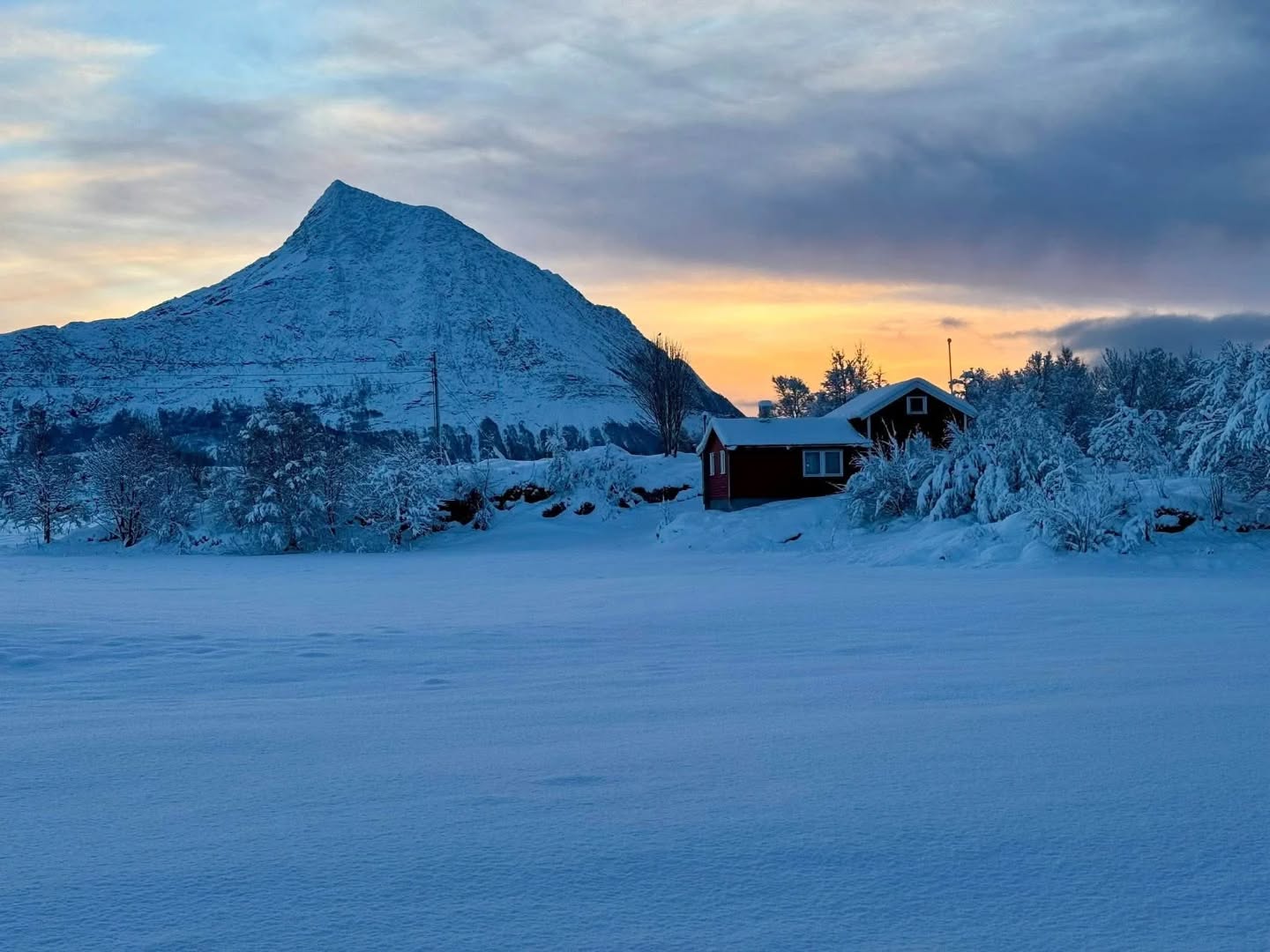 📷 Tamás Makovics @tamasmakovics