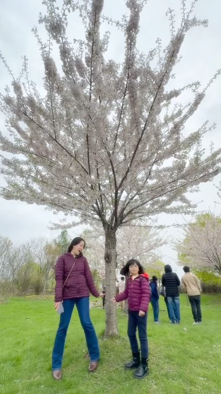 🌱The art of living: Surround yourself with beauty, create with love, breathe in the fresh air of nature, and cherish the company of kind souls.
🌸This spring, take time to pause, refresh your spirit, and step outside—let the blossoms remind you that growth and joy are always within reach.
#SpringVibes #ArtfulLiving