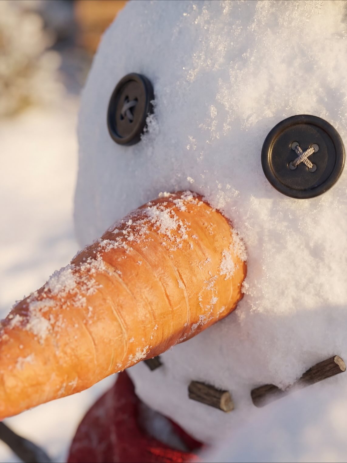 Zimowe wizualizacje to jeden z najskuteczniejszych sposobów, by wyróżnić inwestycję oraz pobudzić wyobraźnię odbiorcy. Śnieg, światło i świąteczne akcenty nadają Twojemu projektowi niepowtarzalny klimat, który natychmiast przyciąga uwagę. Dzięki takim kadrom możesz zaprezentować inwestycję w sposób, którego nie pokaże żadna standardowa wizualizacja — ocieplasz markę, budujesz emocje i podkreślasz, że Twoja inwestycja to urokliwe miejsce o każdej porze roku.
Chcesz wykorzystać potencjał zimowych wizualizacji w promocji swojej inwestycji? Zgłoś się do nas
#vividportfolio #naszerealizacje