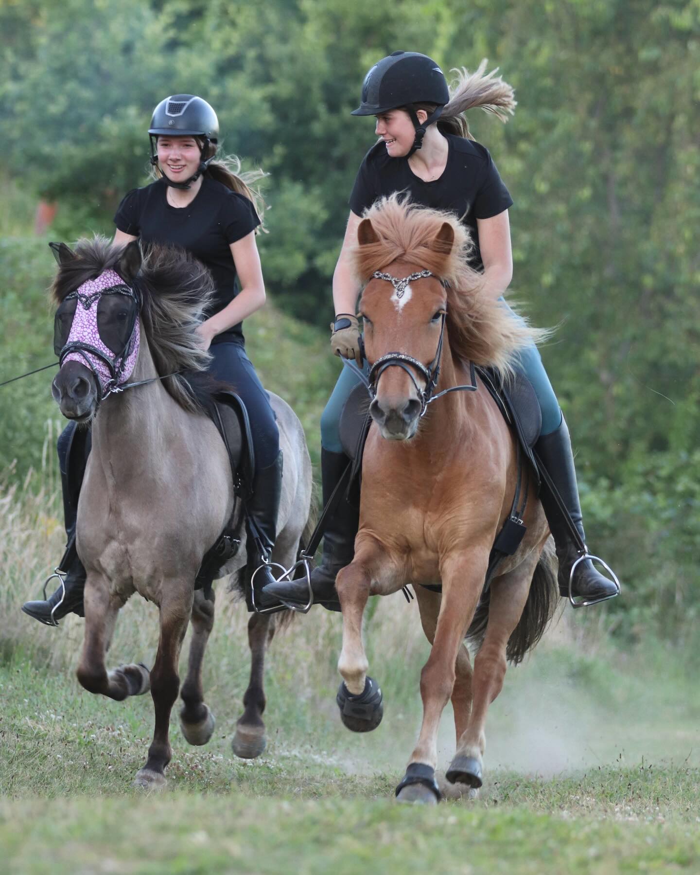 Hvem elsker ikke en god galop😍 På Østerlund rider man sammen med andre som er ca. på samme niveau som man selv er. Derved sikrer vi at alle får mest muligt ud af de ture vi rider❤️
