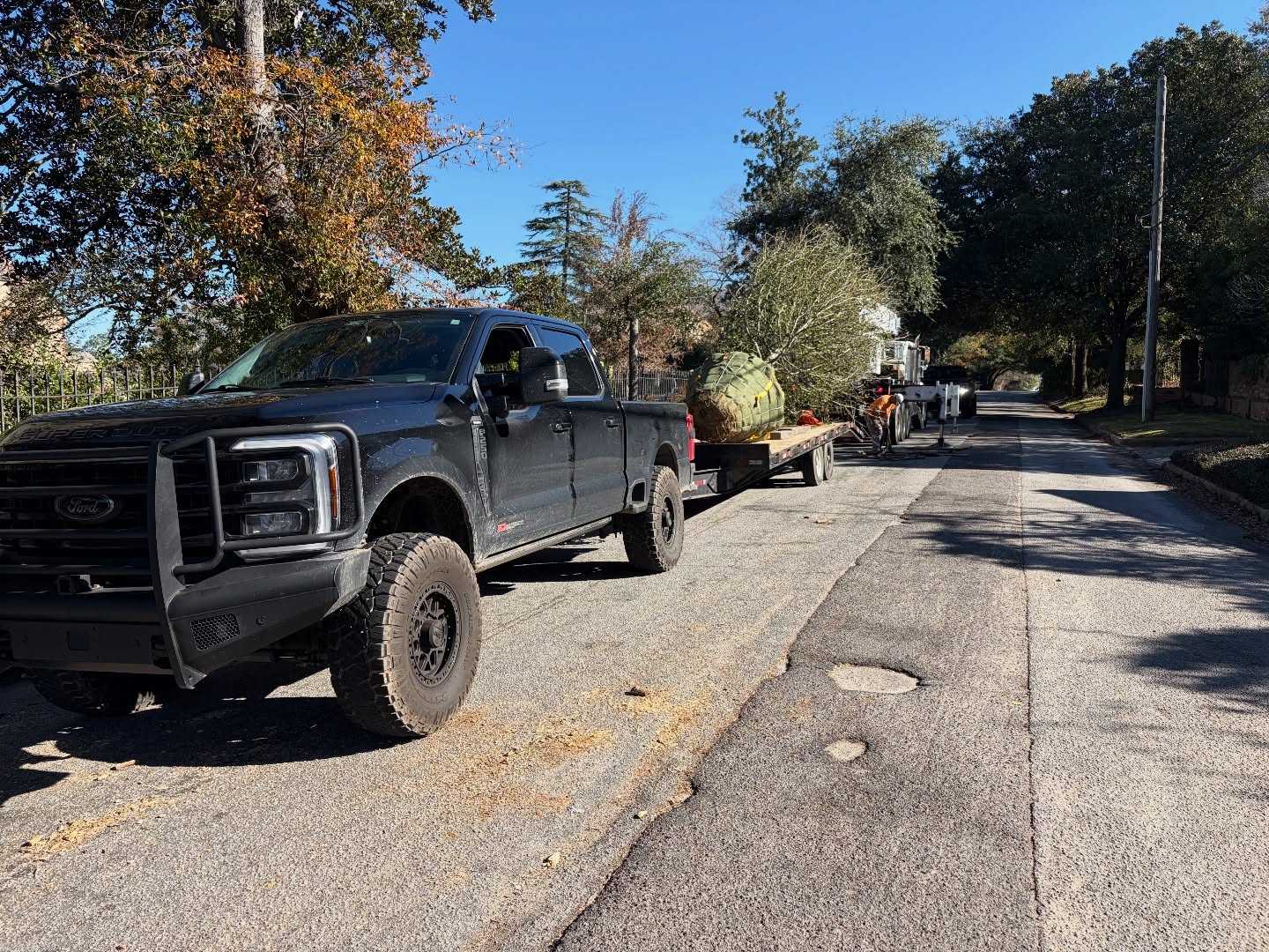All in a days work for our hard working Install team. No tree too small or large! 💪🏼🌳🏗️
#JLM #largetrees #landscapelife #allinadayswork