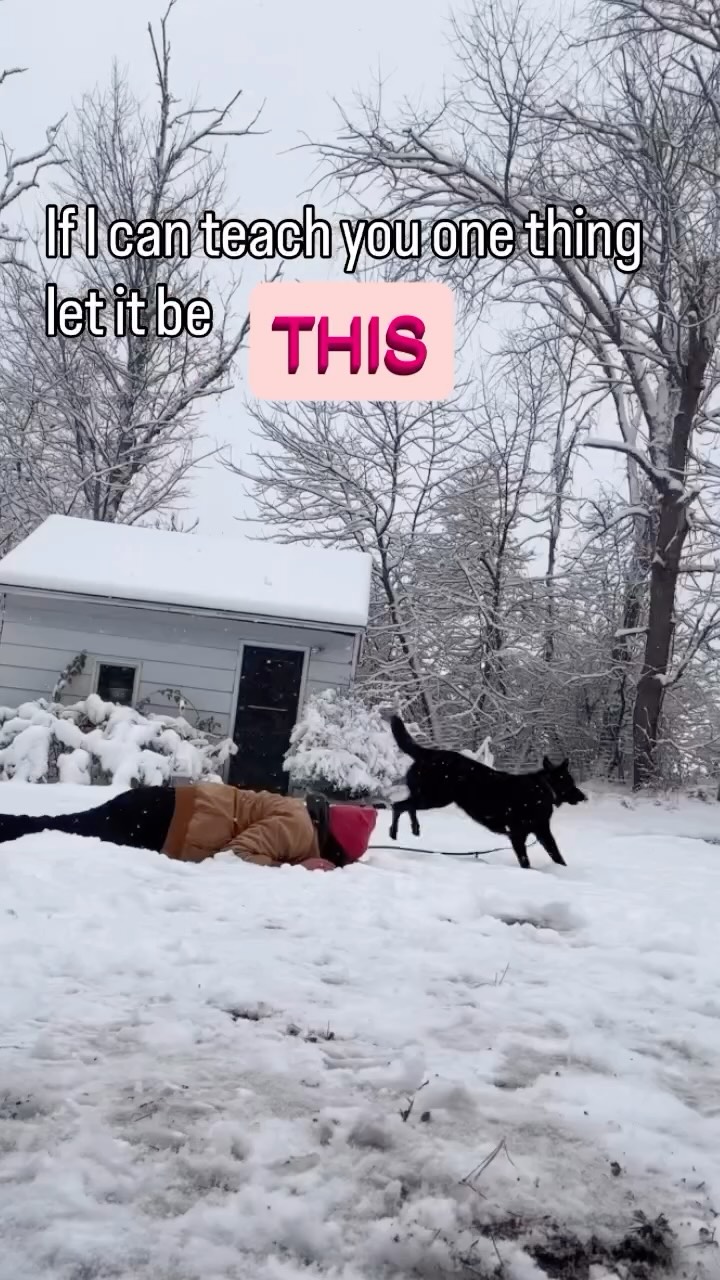 Don’t end up face down in the snow…
Theres a better way to hold your dog’s leash. Surprise, it’s not just holding the handle or wrapping it around your wrist 100 times.
Use a ✨Leash Lock✨
Your dog might pull while walking, lunge at other dogs or try to chase squirrels, but at least you’ll be able to hold on without dislocating a shoulder or hurting a wrist.
The leash lock allows you to keep all your strength centered at your core to keep you upright and balanced.
You also have the ability to have one hand free to reward while you are walking!
If you aren’t quite comfortable without two hands, just lock both! Create the same loop over your other hands pointer finger.
The leash lock also prevents you from getting “trapped” in the leash. If your wrist is wrapped it’s harder to let go in an emergency; especially in icy, snowy winter conditions.
•
•
•
#dogwalking #leashwalking #doglovers #positivereinforcementdogtraining
