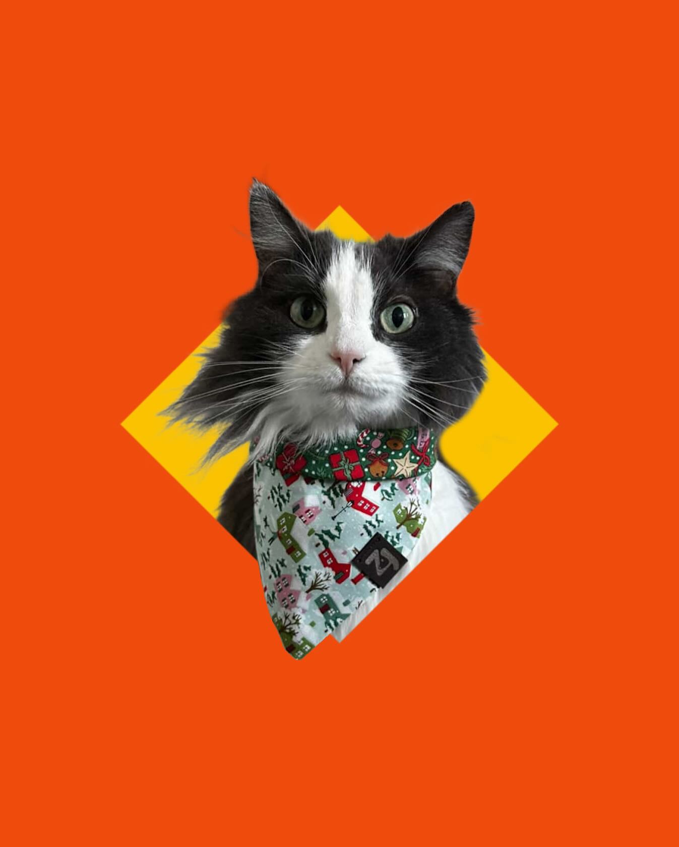 ✨🐱 Meowy Early Christmas 🐱✨ come see us at our second to last market of 2025! Check out Happy Cute Mart on Saturday in Markham to scoop up a holiday bandana ✨