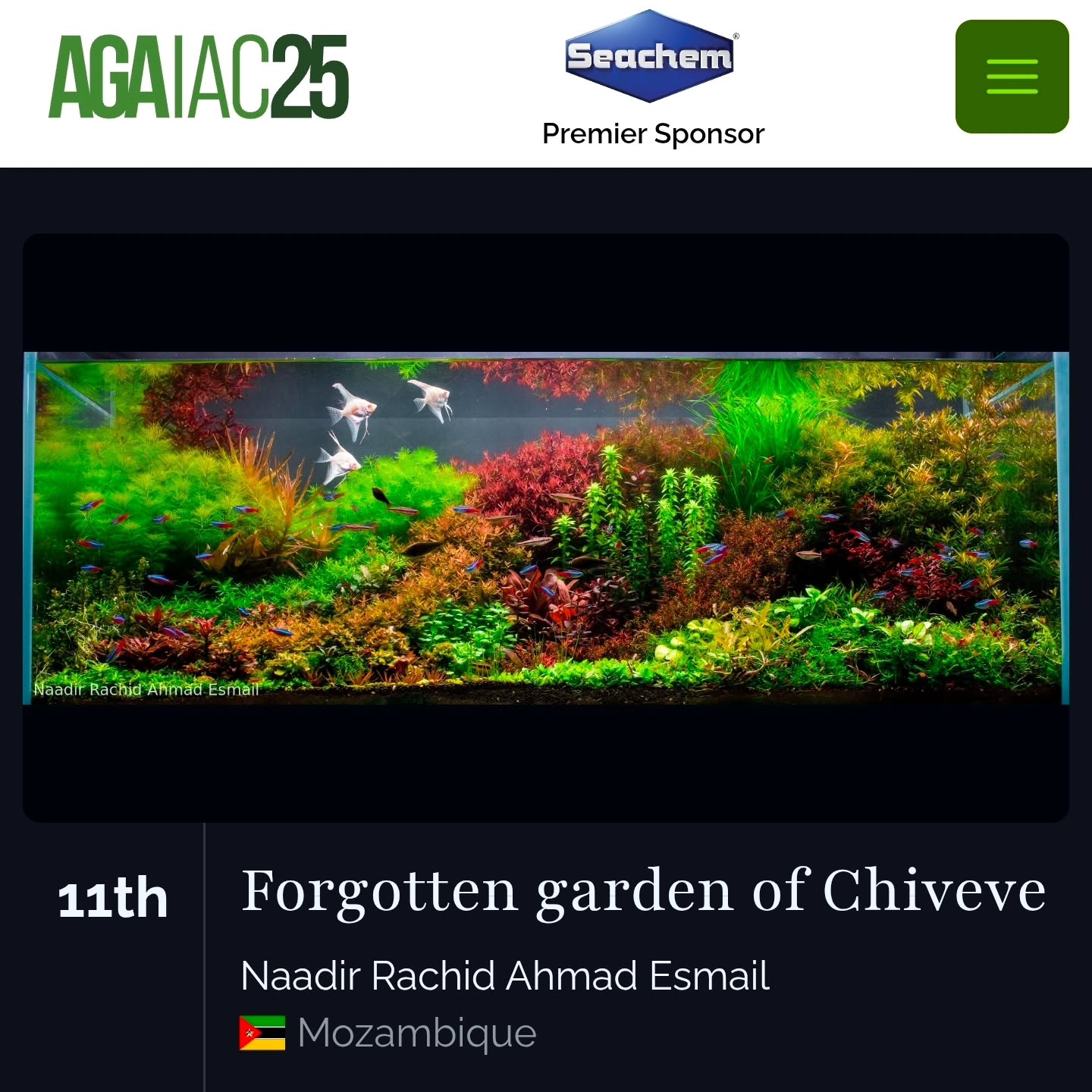 And... I end the contest season with two great Ranks, on a very prestigious Contest #agaiac2025 . With each scape I can feel a slight improvement on my scapes, and this keeps me motivated for the next one... Now 2026 Season let's Go!!!
#aga
#agaiac
#agaiac2025
#contest
#aquascaping
#dutchstyle
#natureaquarium
#mozambique