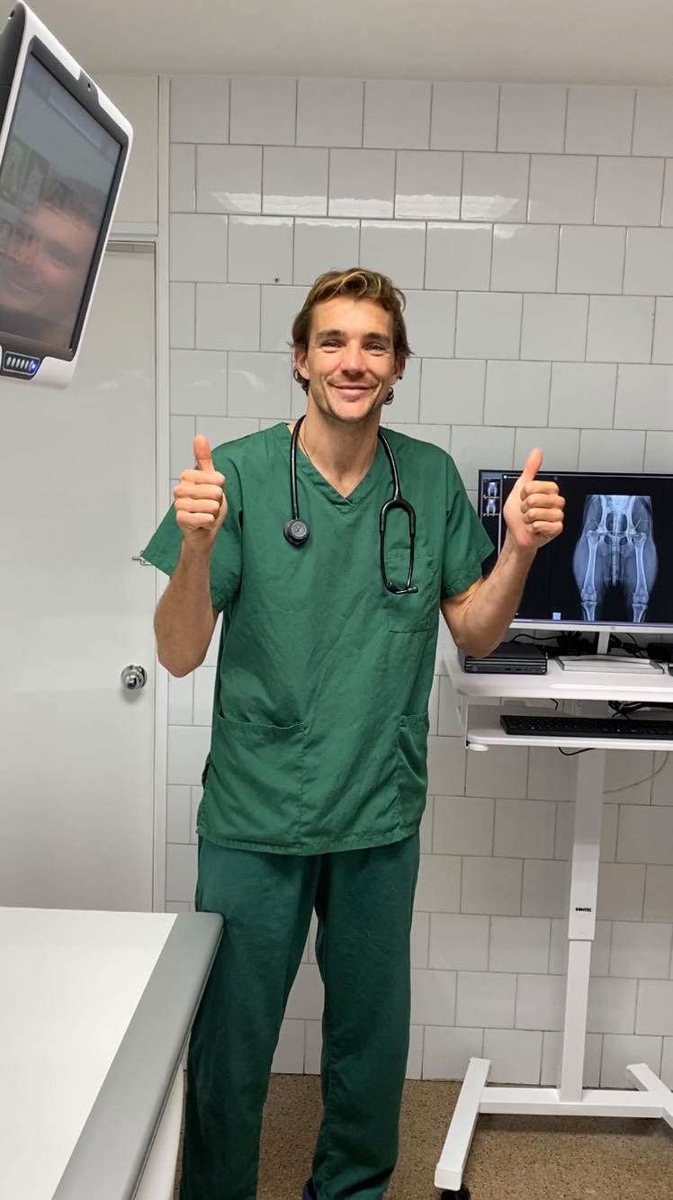 ✨ La medicina veterinària avança i nosaltres avancem amb ella ✨
Ja tenim disponible el nou equip de radiologia digital d'última generació. Perquè cada detall importa, i un bon diagnòstic pot marcar la diferència. 💚
Aquest equip ens permet obtenir imatges més nítides, segures i ràpides per la comoditat del vostre animal
🔹 SEDECAL NeoVet RX 🔹
🔹 Panell de radiologia digital directa XENOR 43139WF 🔹
Al Bestiari creiem que renovar i millorar constantment la tecnologia és essencial per oferir diagnòstics precisos i una atenció de màxima qualitat✅. Gràcies a @oservisveterinaria per la seva professionalitat i per ajudar-nos a fer-ho possible.
Seguim treballant cada dia per oferir-vos el millor servei, amb la confiança i la proximitat de sempre. 🤝