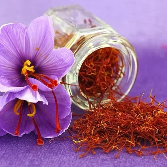 Saffron is a highly valued spice derived from the dried stigmas (female reproductive parts) of the Crocus sativus flower. It has a rich golden-yellow color, a unique aroma, and a distinct, slightly bitter taste. Saffron is primarily used in cooking, especially in Middle Eastern, Indian, and Mediterranean cuisines, to flavor and color dishes like rice, soups, and desserts.
Saffron is known for being one of the most expensive spices in the world, primarily due to the labor-intensive process of harvesting, as it takes tens of thousands of flowers to produce just a small amount of saffron. Its high cost is also due to the fact that the flowers must be hand-picked and the stigmas carefully separated and dried