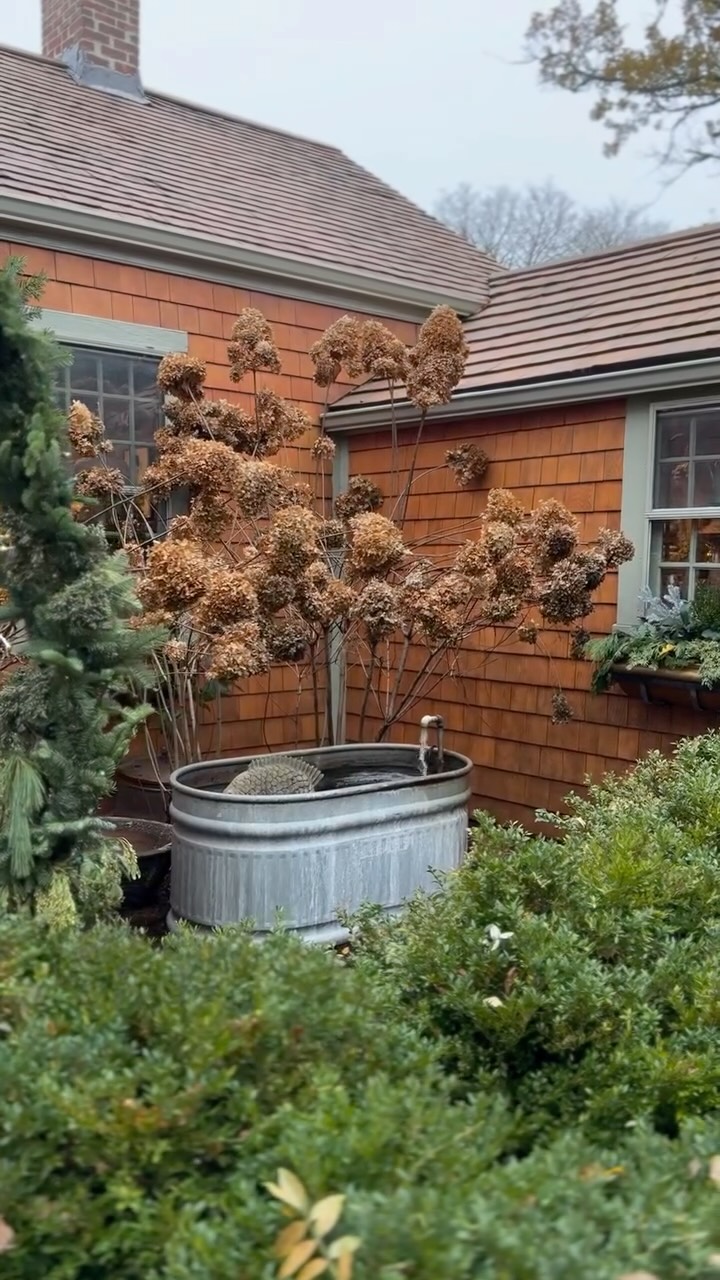 So much to be thankful for! Spending the holiday in New England with family and creating memories. Happy Thanksgiving from the Petrin family and Savannahs home and design to you.