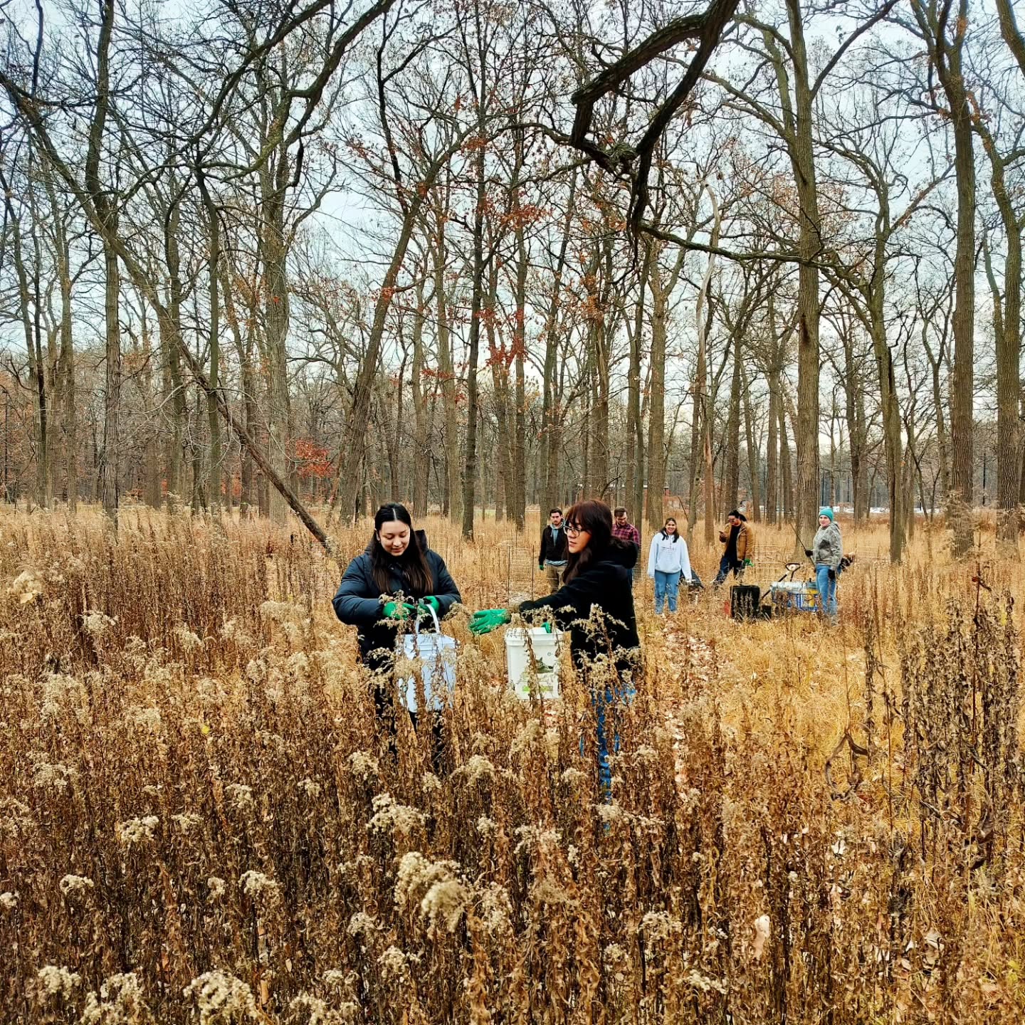 Monday Moment of Zen. BIO 109 Plants and Society students joined Oakton's naturalist in our restoration ecology efforts. Baby oaks grown from acorns were planted and caged from deer, native seeds were collected and processed, and volunteer hickories and oaks were transplanted. The best time to plant a tree was 20 years ago. The second best time is today. Peace y'all.