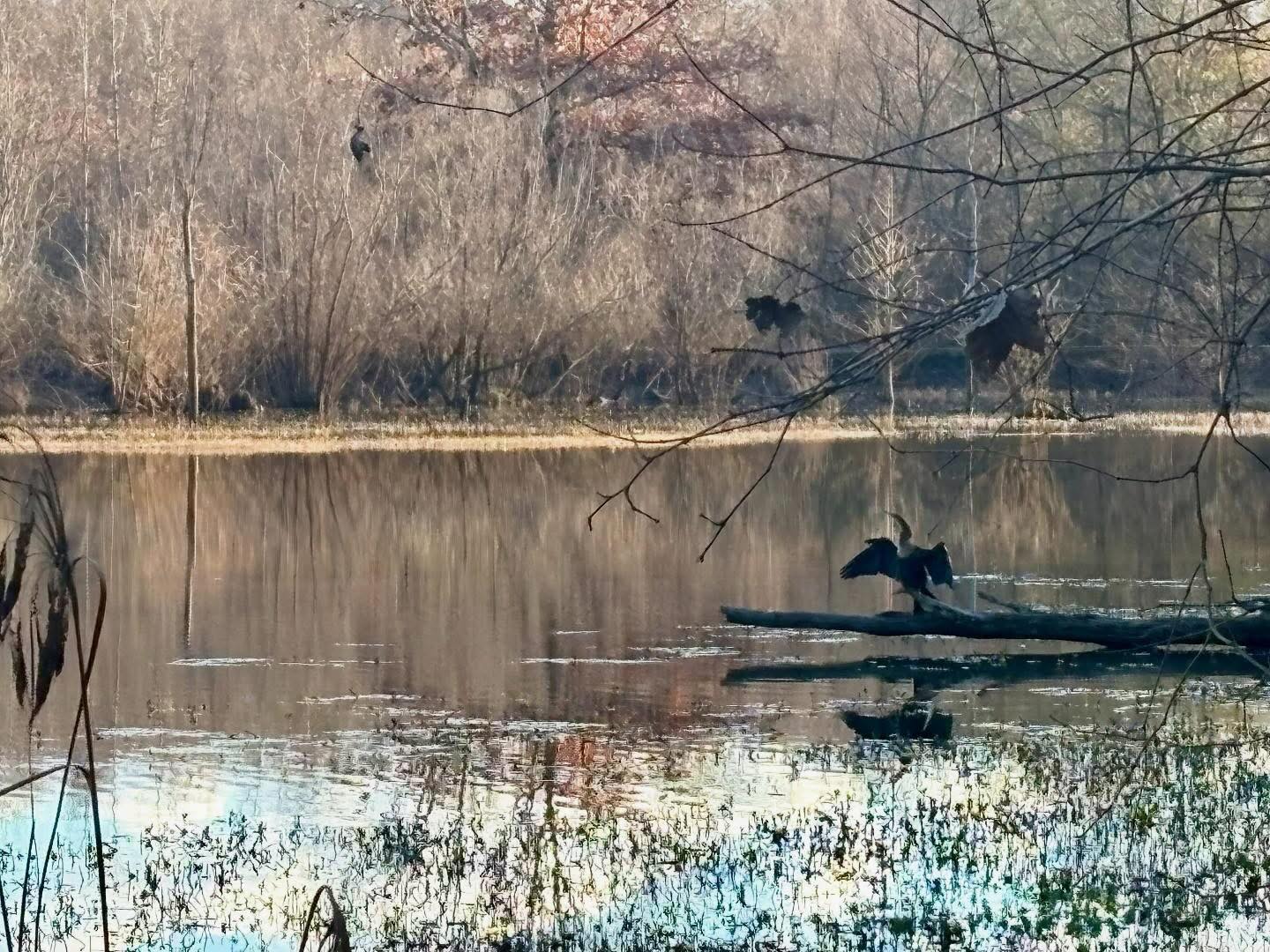 Whether you’re craving time outdoors or ready to check off your holiday list, Ocmulgee Mounds has you covered.
Wander the trails, shop the park store’s unique items, and know that every purchase helps us support programs, events, and cultural experiences at the park.
Open daily 9–5.
#ocmulgeemounds #visitmacon