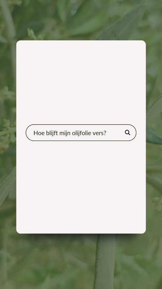 💡 Hoe houd je je Oleef-blikje vers?
Met een paar simpele stappen blijft de smaak top:
🌑 Bewaar donker & koel
In een keukenkastje, weg van zonlicht en warmte.
🔒 Sluit direct na gebruik
Zo krijgt zuurstof geen kans om de olie te laten oxideren.
⏳ Binnen 3–6 maanden opmaken
Na openen neemt de kwaliteit langzaam af — daarom werkt een kleiner formaat het best.
🫒 Beter in blik
Onze blikjes beschermen de olie optimaal tegen licht en lucht, de vijanden van olijfolie.
Oleef komt in 500 ml
Groot genoeg om vaak te gebruiken, klein genoeg om vers te blijven.
Klein blikje. Grote smaak. 💛
#oleefsmakelijk #verseolijfolie #extravierge #versvandepers #olijfolie