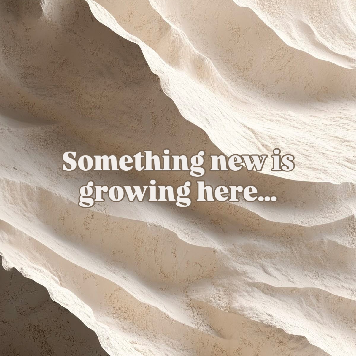 You may have noticed a few quiet changes on my page lately… ✨
I’ve officially begun the rebranding process —
Bianca Bown Naturopath is evolving into The Nest – Health Studio.
This shift has been brewing for a while. My work with women has deepened so much — hormones, gut health, energy, nervous system support, and helping you come home to yourself.
I wanted my business name and space to reflect that intention.
Nothing about your care is changing.
Same me, same approach, same cosy space in Lower Inman Valley (and online).
You’ll just start to see a new name, logo, colours, and website rolled out as this next chapter unfolds.
Thank you for being here and growing with me.
It truly means everything.
If you’d like to book in before the Christmas/New Year period, you can do that anytime via the link in my bio. 🤍