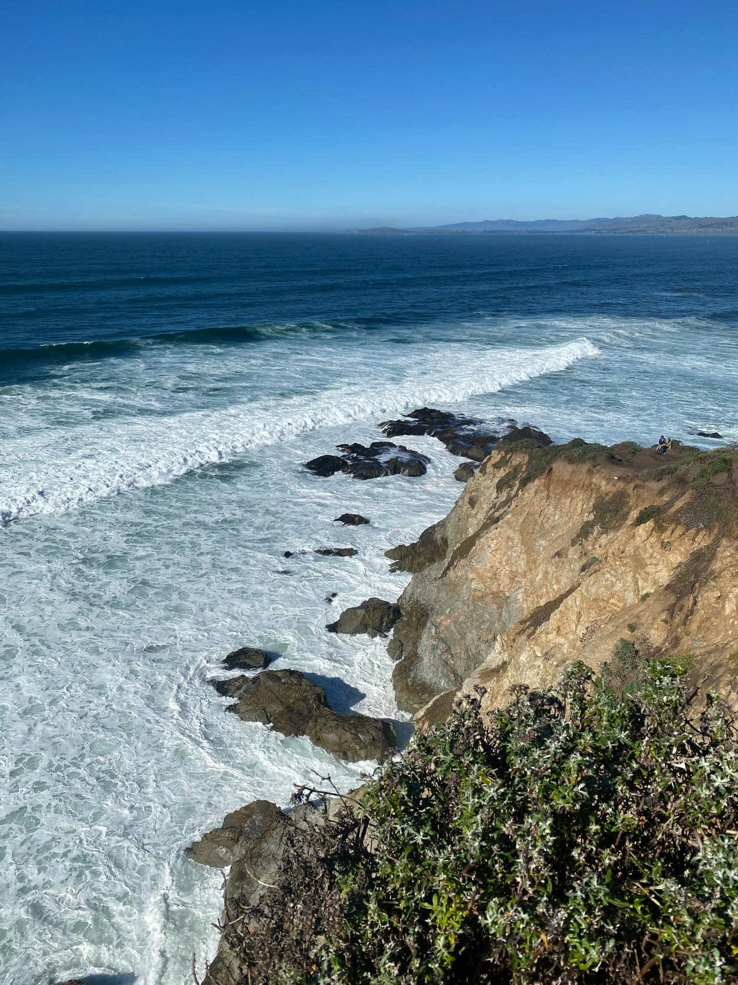 Annual thanksgiving trip to see family and friends in beautiful CA and homage to the big trees. #sliceofheavenfarm