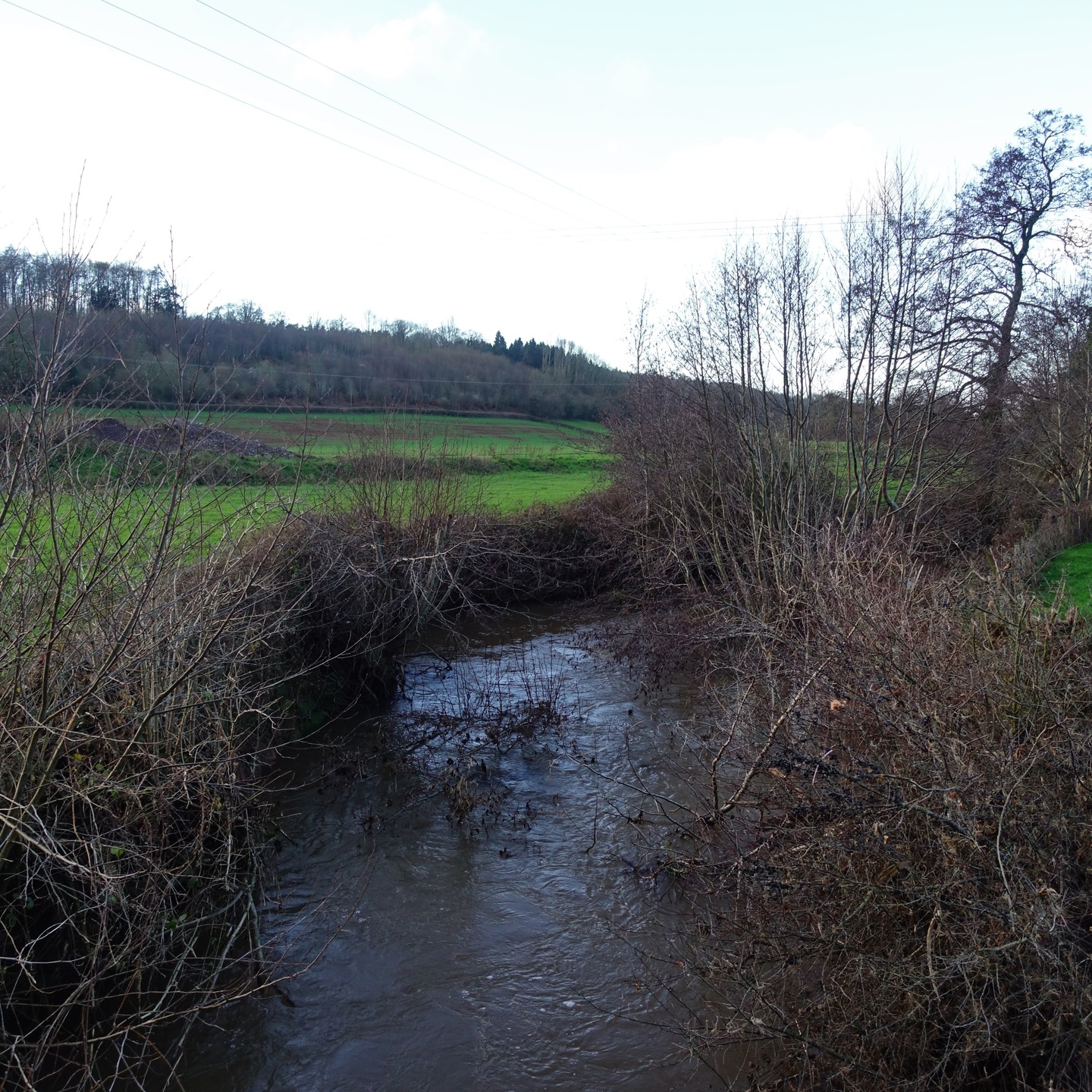 The River Dore in Herefordshire's Golden Valley yesterday, which flows for 12 miles off the southern slopes of Merbach Hill into the Monnow and then the Wye. Yes, the source is Merbach and not Cusop Hill as suggested by some - environmental agency data confirms this. It was a wet hike - wet wet wet. But the ramble was awesome. I feel for the farmers. There isn't much they can do with land this saturated. #riverdore #riverwalk #herefordshire #countrywalk #rambler #ramble #goldenvalley #winterfarms #december #decemberwalk #valleywalk