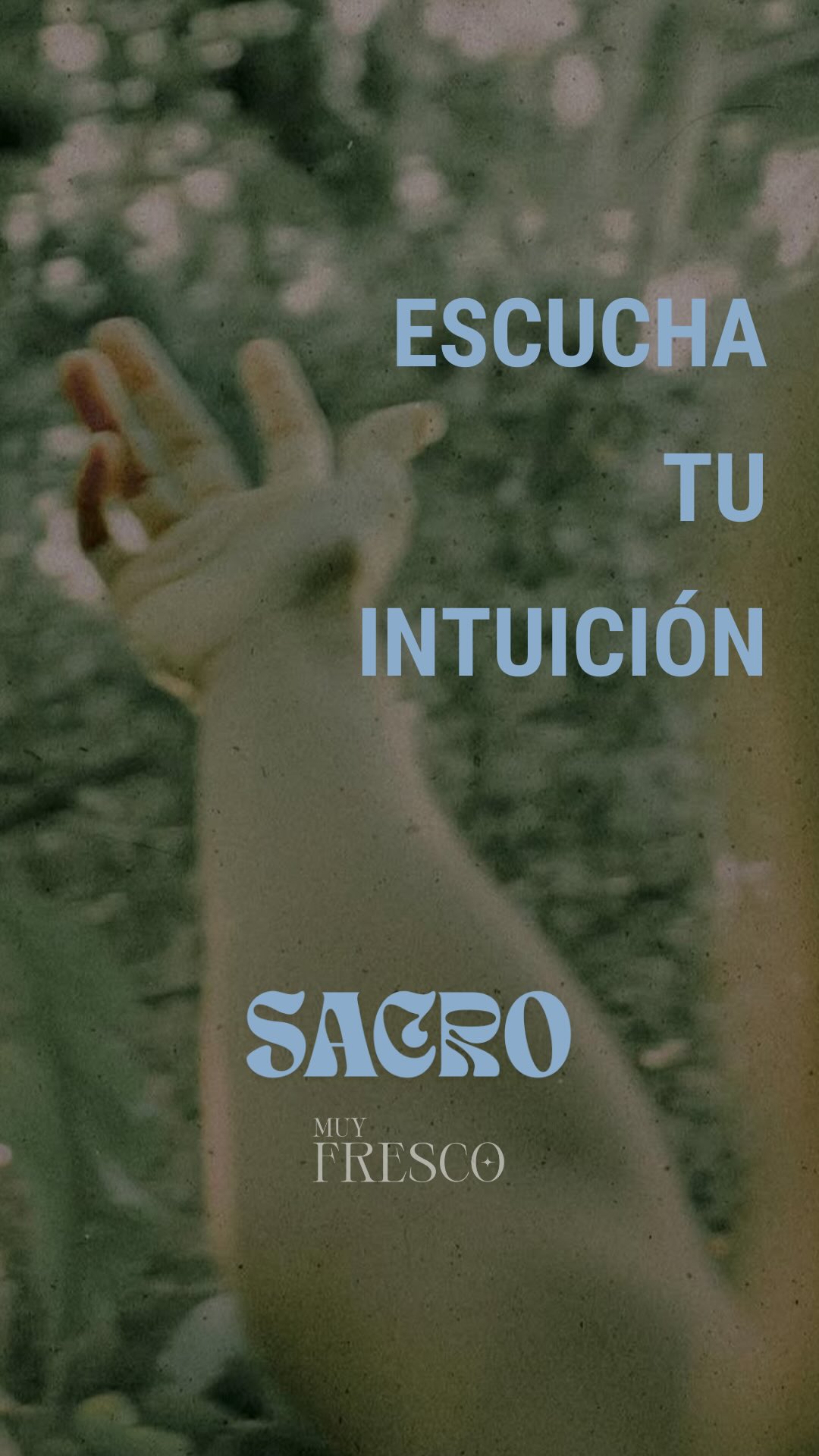 SACRO
Es un retiro transformador en la mágica isla de Koh Tao, Tailandia, del 28 de marzo al 5 de abril de 2026
(Semana Santa)
Este retiro nace de un profundo llamado a recordar lo sagrado, a través del cuerpo y el Agua.
Durante 9 días, viviremos una experiencia transformadora e innovadora que combina:
🌀Yoga, movimiento consciente y rituales
🌀Buceo Open Water con enfoque terapéutico
🌀Terapias holísticas, ceremonias y talleres creativos
🌀Círculos, conexión con la naturaleza, astrología, ritos y mucho más
🌀Alimentación a base de plantas y diferentes medicinas.
🌀En una Isla paradisíaca entre la selva y el mar.
SACRO no es solo un viaje: es una transformación.
Si sentís el llamado, comenta SACRO y les enviamos todo lo que tienen que saber!
ULTIMAS PLAZAS DISPONIBLES
Nos abrazamos pronto!
@_muyfresco @hacialmar @__almalunar @tierralunaria
#retiro #retirobuceo #retiroyoga #retiroholistico #retirotailandia
🎥 @hacialmar