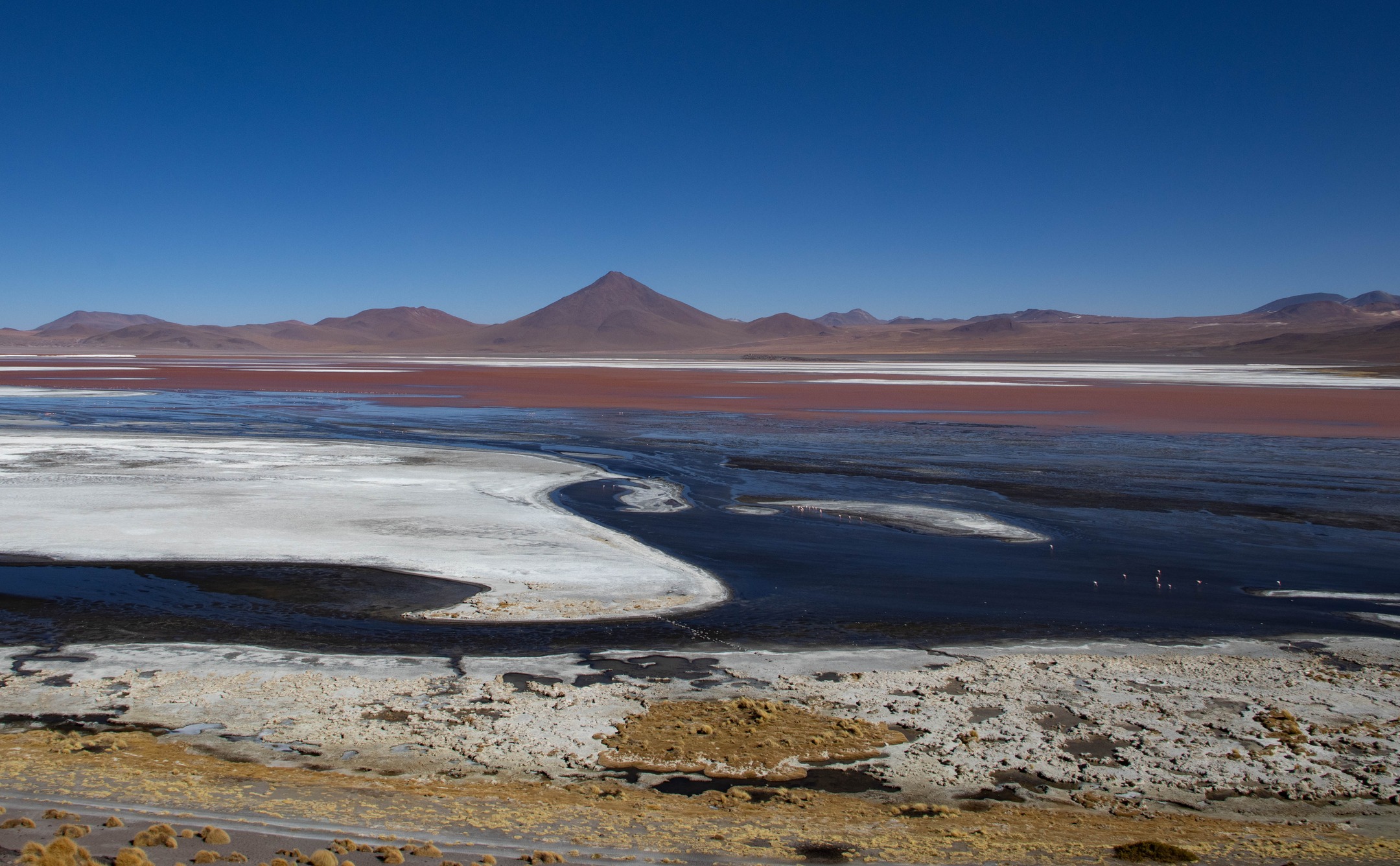 Lagune colorate degli altopiani desertici boliviani con i loro unici abitanti 😍
#pinkflamingo #lagunacolorada #bolivia #oltre4000mtdibellezza #desertsafari #travelphotographer #landscape_photography #wildlifeonearth