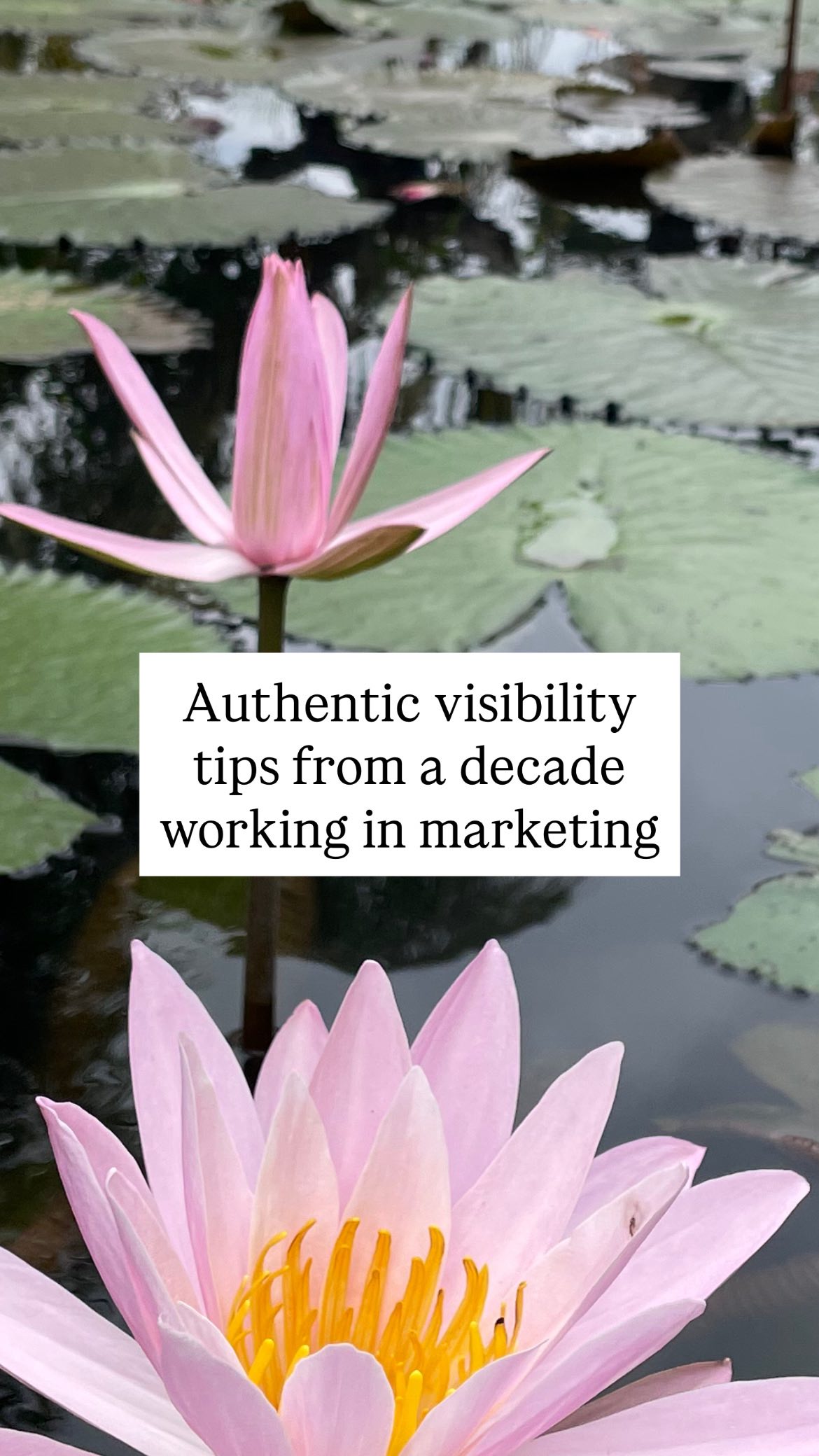 Kinda crazy that I’ve worked in Marketing for a decade! Here are my main tips 👇🏼
1. Effective marketing is all about sharing the WHY, not just the what.
Lead with the value your product or service brings, not just the functionality.
2. Be selective with your time and focus.
Don’t spread yourself too thin. There are countless platforms, so choose max. 3. Be strategic and intentional with what you post on each one.
3. Being online can feel overwhelming.
Counter self-doubt and comparison by reframing everything as inspiration. It shows you what content, styles, and approaches you like (and dislike).
4. Plan ahead!
Choose three content pillars and plan at least one week in advance. Map it out at the end of the previous week so it’s off your to-do list. And don’t be afraid to keep reusing content.
5. Selling starts with energy.
People can feel the difference between sharing from desperation and sharing from genuine excitement.
6. Every part of your practice is content (a big one)
The moments you think are boring like tidying your studio, are actually valuable insights into your process. Set your phone up for 20 seconds while you declutter.
💫
Marketing might feel like a chore or a pressure, but it’s an integral cog in your business wheel. It doesn’t need to feel scary or overwhelming, it can actually be another outlet for creative expression.
The key to authentic visibility: confidence + strategy.
.
.
.
#confidencecoach #authenticvisibility #socialmediatips #creativecoach #visibility