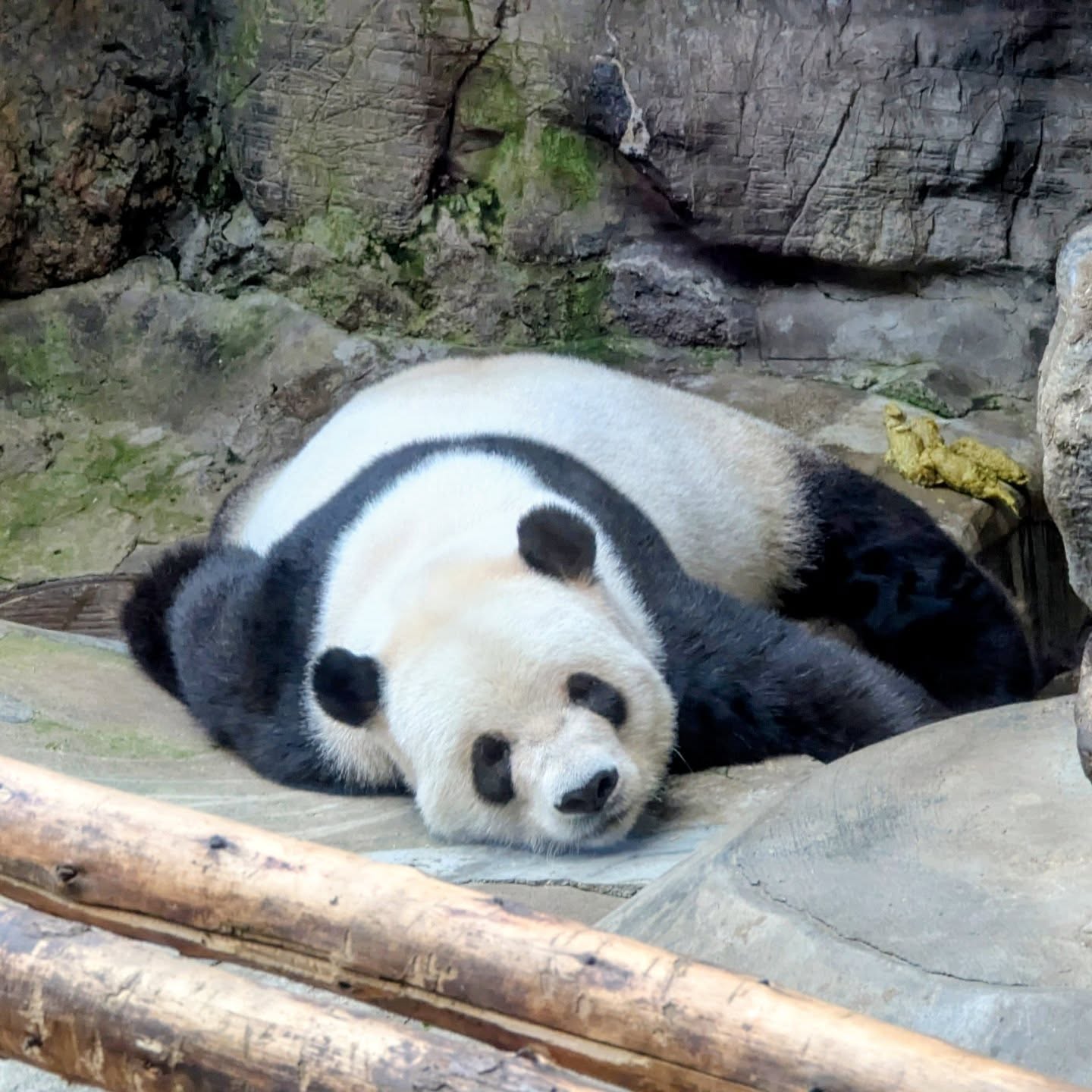 Beijing, China ❤️