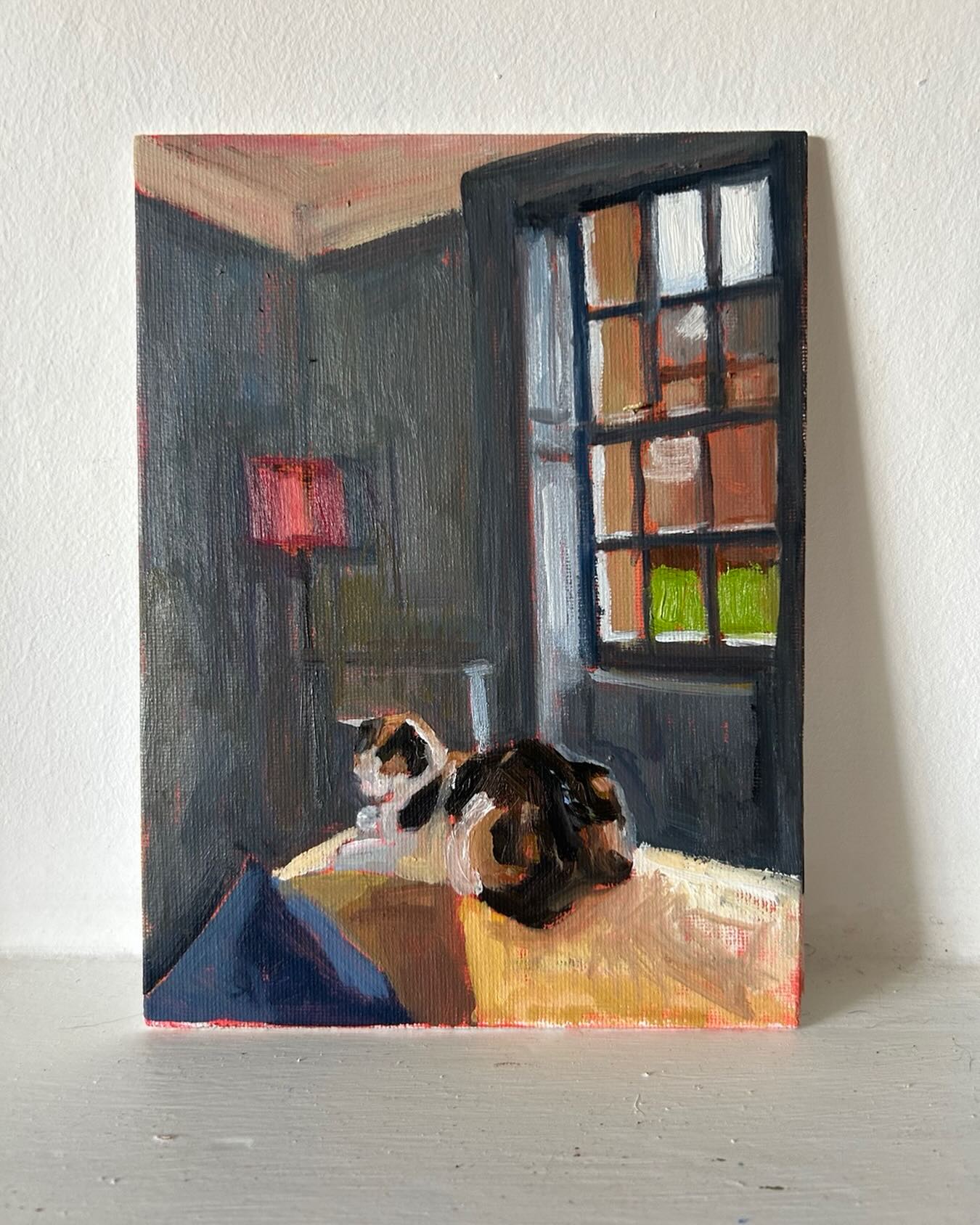 A little painting today of my friend’s cat Jelly sweetly sitting on the top of the sofa in the sunshine. Don’t forget about my website sale - lots of things are going. Website is in my profile up top.
#jellycat #cat #ınstagramcat #catpaintings #smallpantings #smallpainting #paintingofacat #artforsale #artoilpaintings #suffolkart #suffolkartist #woodbridge