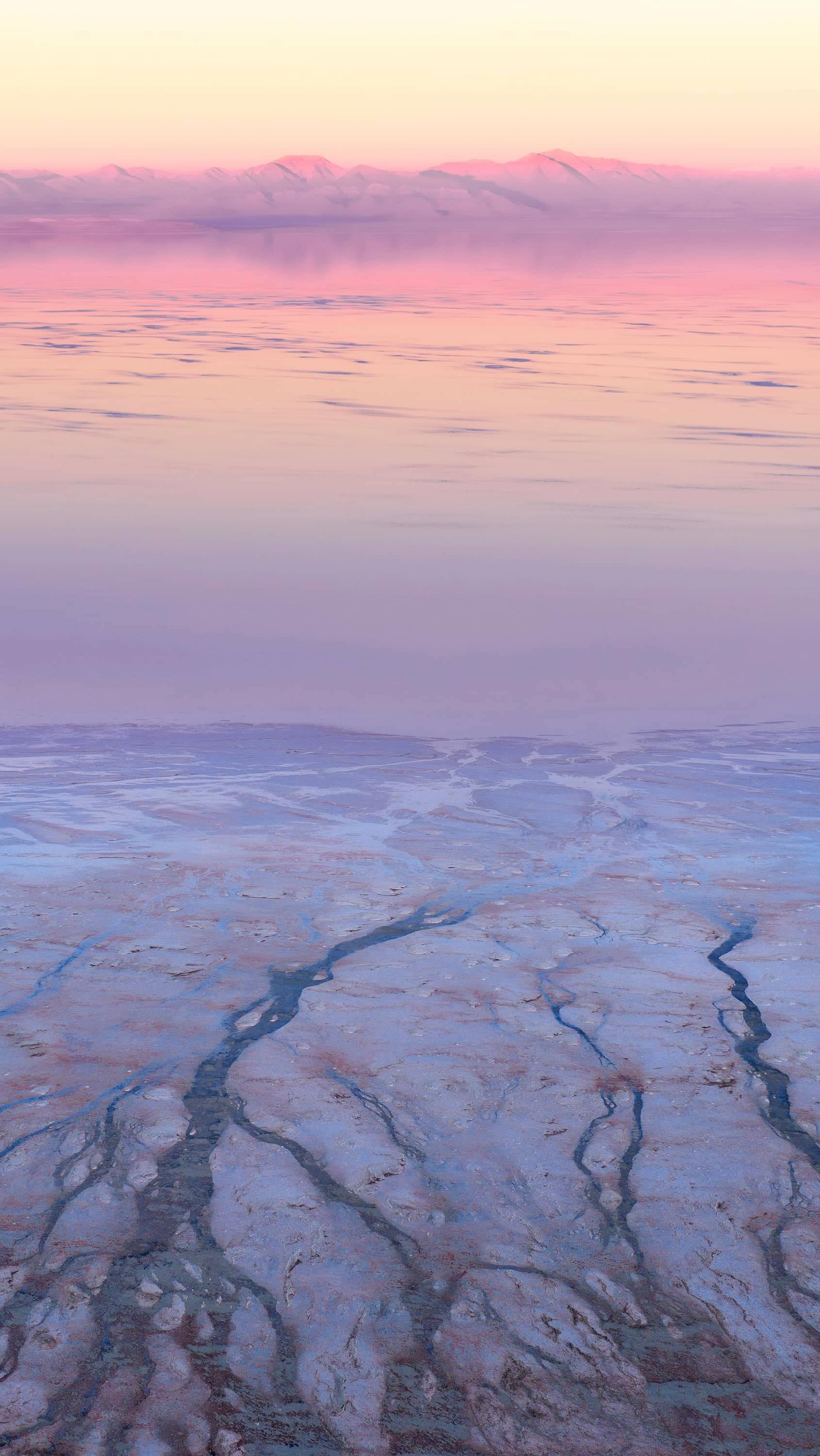 What happens when you venture into an untamed area of the Great Salt Lake? Beauty in adversity.