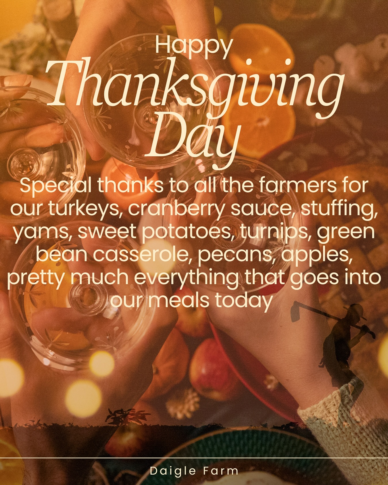 I saw a post this morning that said “before the stories, before the laughter, before the meal, there is a farmer” so let’s take a microsecond in our heads & hearts to thank the farmers around the world for every part of our feasts today.
Of course the Turkey is the star of the show which takes us about 6-7 months to raise, but there is a farmers touch in just about everything on your plates today. Even as small and simple as the onions that go in the stuffing. For what is prepared in a few hours, and devoured in just minutes, it took a farmer somewhere in the United States months to create. If that doesn’t make you give thanks for the food we get to eat today, then man, I don’t know what will!
May your day be filled with cherished memories new and old, laughter, and lots and lots of love. Happy Thanksgiving Everyone!!!