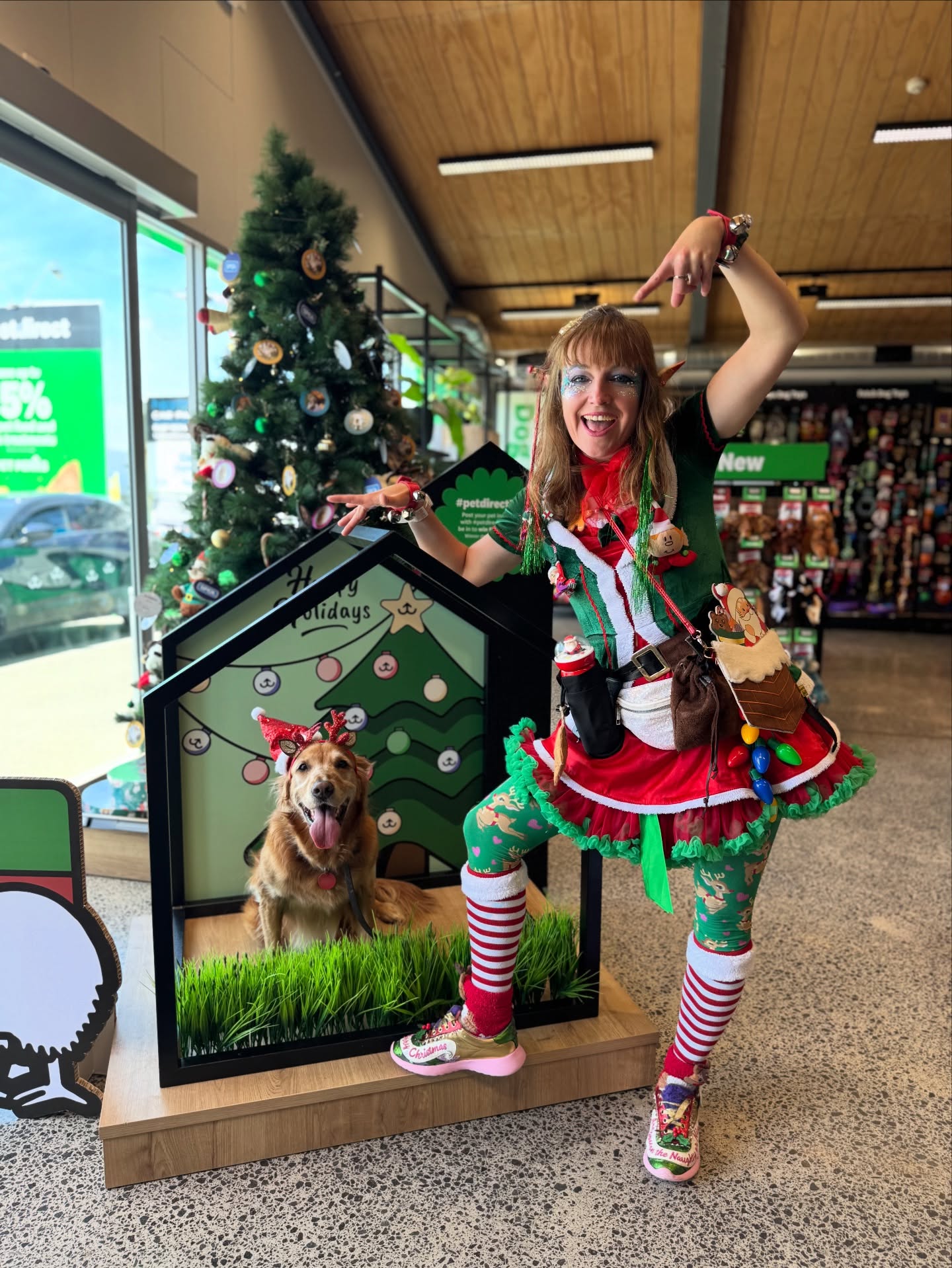 Nala and sparkle spell aka @magicmonaandfriends enjoying all the attention and amazing goodies at #petdirecttk . Loads of festive treats for your furry friends here.. Santa paws is coming to town ha ha.