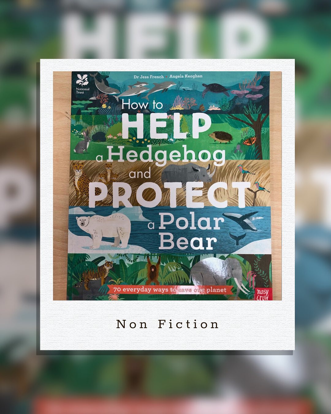 How to Help a Hedgehog and Protect a Polar Bear
By Jess French
This delightful book offers a fascinating journey through a variety of animal habitats- including several lesser-known ones- and the incredible creatures that call them home.
Each habitat features a mix of information: the animals that live there, a fact file about them, and, most importantly, practical ways we can help protect these environments.
Although rich with information- almost like a child-friendly encyclopaedia- the book is wonderfully accessible thanks to the beautiful way it’s laid out.
for readers aged 5/6 years and up.