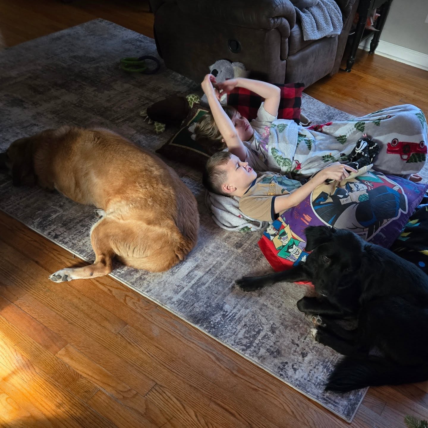 Happy Thanksgiving Friends!
All my sweet babies watching the parade. I'm truly thankful to god for this beautiful life he gave me.
And yes I am thankful to the fury ones too.