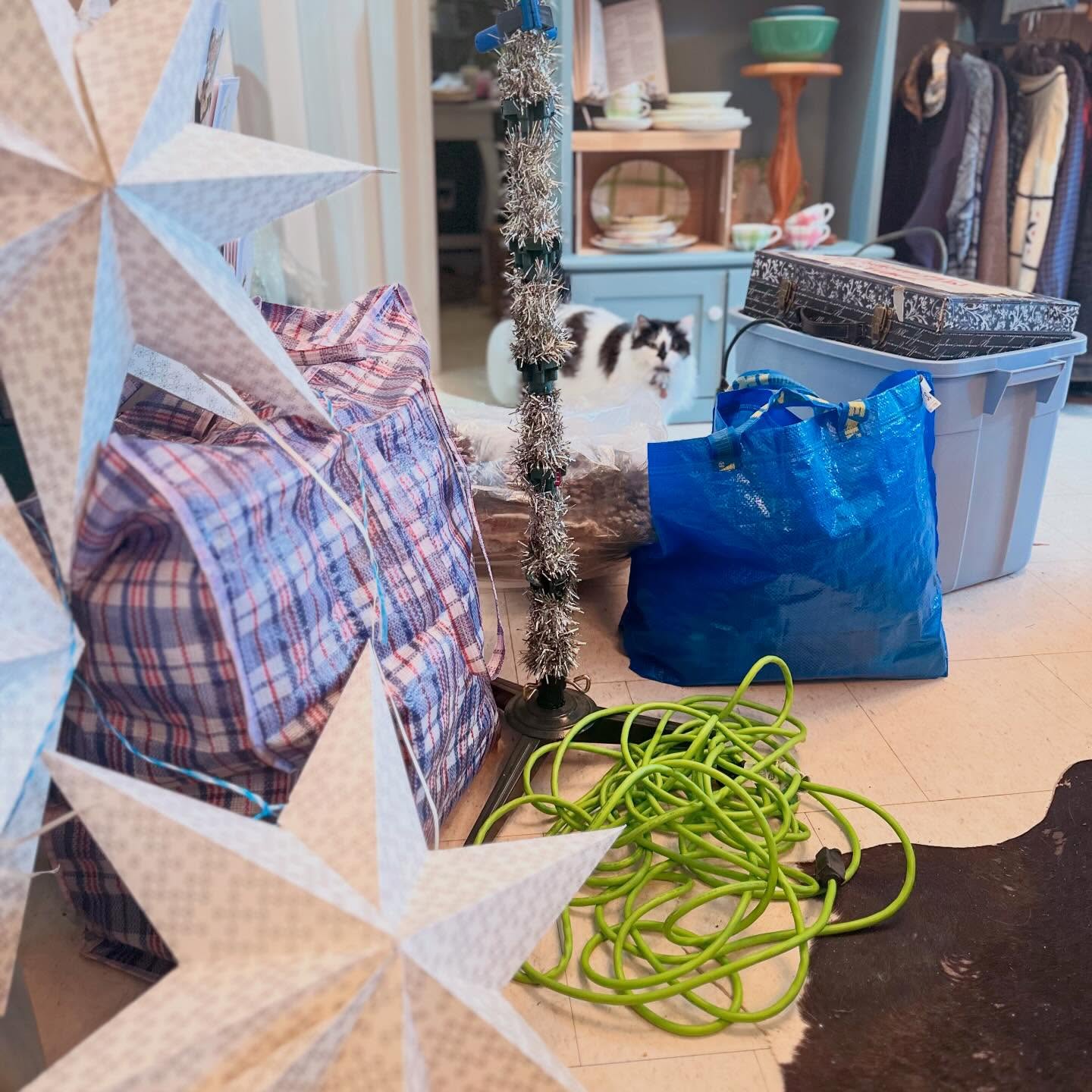 Bear with us, holiday chaos has taken over. 🎄CeCe's not thrilled about the mess and obstacles.
But it'll be worth it for our Shop a Sip night on Friday! ⭐️ 🛍️