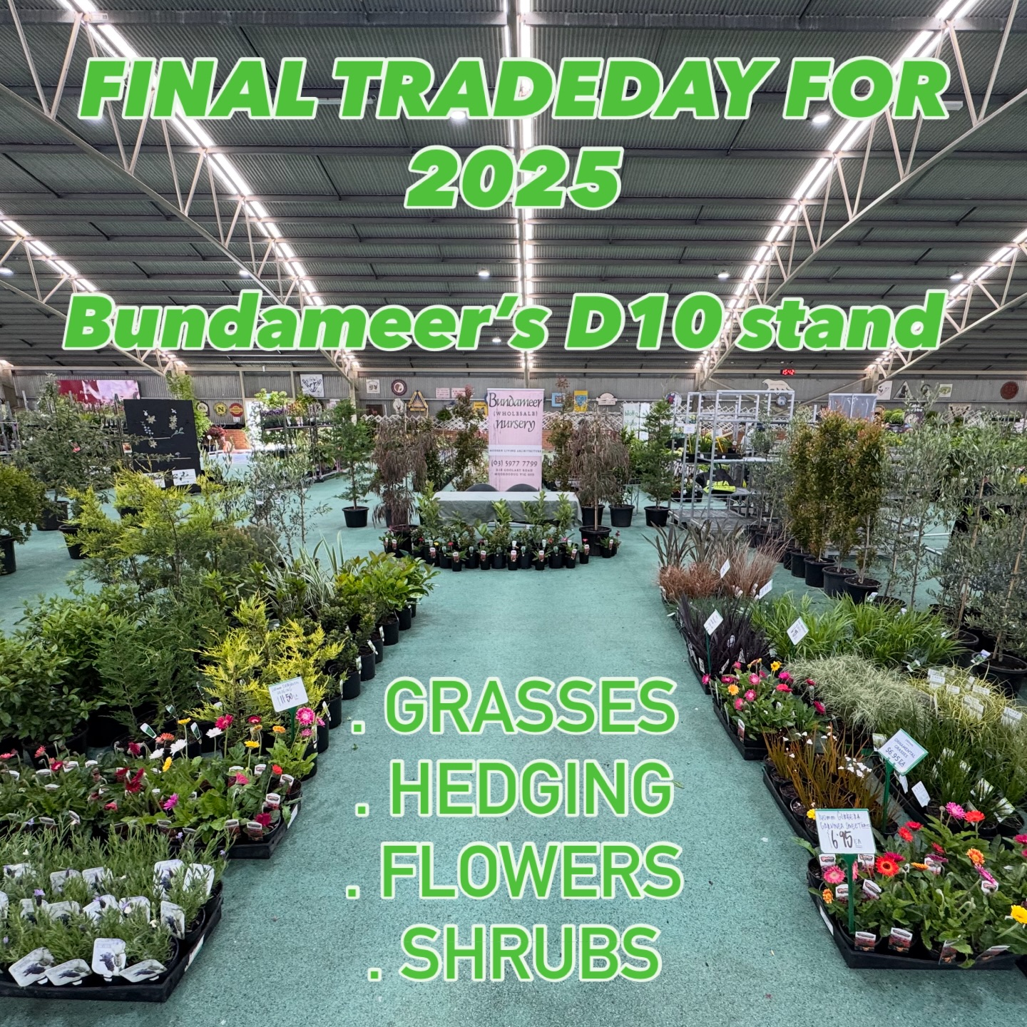 Bundameer’s last NGIV Tradeday stand for 2025! Please come by and say hello! Warwick & Cat 🐱 will be there for all your order requests and or stand purchases! 5% OFF all stand bought stock so don’t miss out 🎯. #BundameerNursery #WholesalePlants #PlantNursery