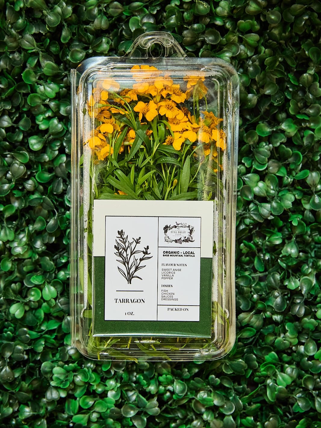 Herb your enthusiasm with @fullbellyfarmbvi 🌿
#steakation #artisan #butcher #island #local #shop #support #friends #family #feast #foodies #fun #flower #herb #create #plate #taste #try #today #tomorrow #together #bvi #britishvirginislands