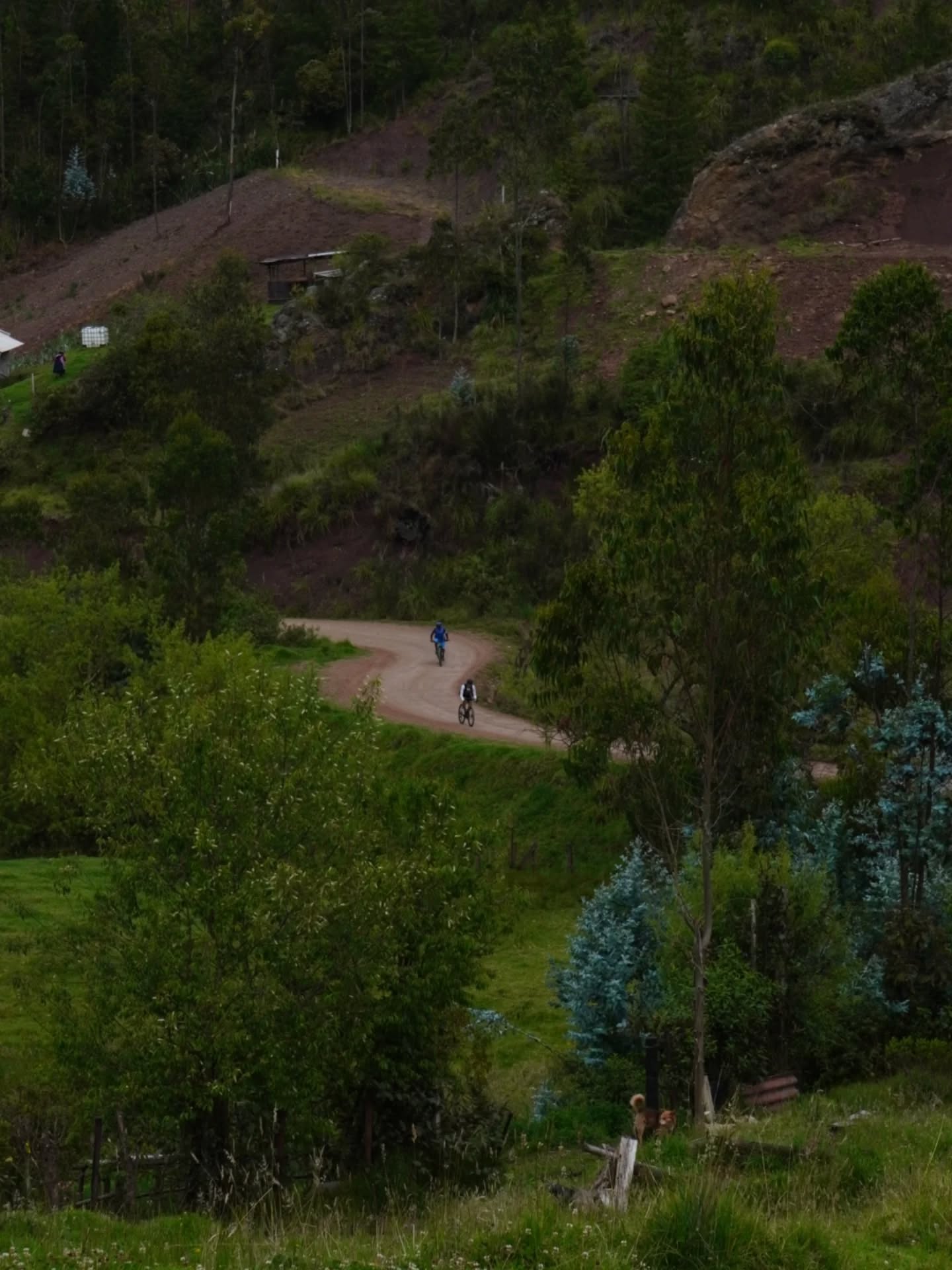 CRONOGRAMA #gravelfest
*Charla Técnica: miércoles 3 de Diciembre, 19:00, vía Instagram Live, @bikepacking.ecuador
* Entrega de Placas: viernes 5 de Diciembre en @lap.ccc , Cuenca. De 14:00 a 19:00h
* Convocatoria a los corredores: sábado 6 de Diciembre a las 5:30h en @lap.ccc
*Partida, sábado 6 de Diciembre , 6:00h.
*Fiesta de Cierre y Premiacion, sábado 6 de Diciembre, desde las 12:00h en @naturhotel_ . Tendremos DJ, varias opciones comida gracias a @lataqueria57cue @laitalianaec y unas 🍻 gracias a @593premiumlager
Ruta, información y registro: www.bikepackingecuador.com , link bio 👆
Pago en www.setecientos.cc , link bio 👆 , o en tienda física, @setecientos.cc y @lap.ccc
Evento gracias a:
@specializedec
@shimanoecuador
@toscana.alimentos
@setecientos.cc