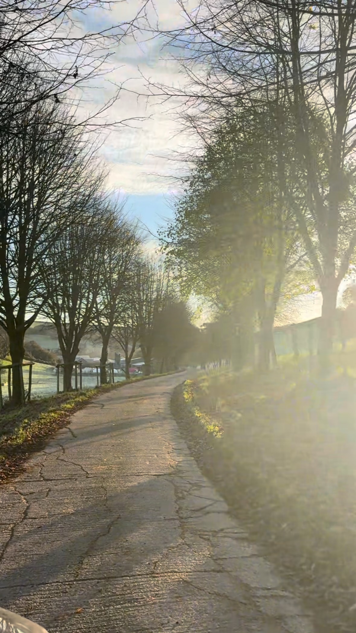 We’ve been out with the @kuhn_uk SPV 14m3 self-propelled mixer wagon ….. want to find out more about the kuhn mixer wagon range ? Then visit our website www.beares.co.uk
#beares #Kuhn #spv #bestrongbekuhn #agri #agriculture #farm #farming