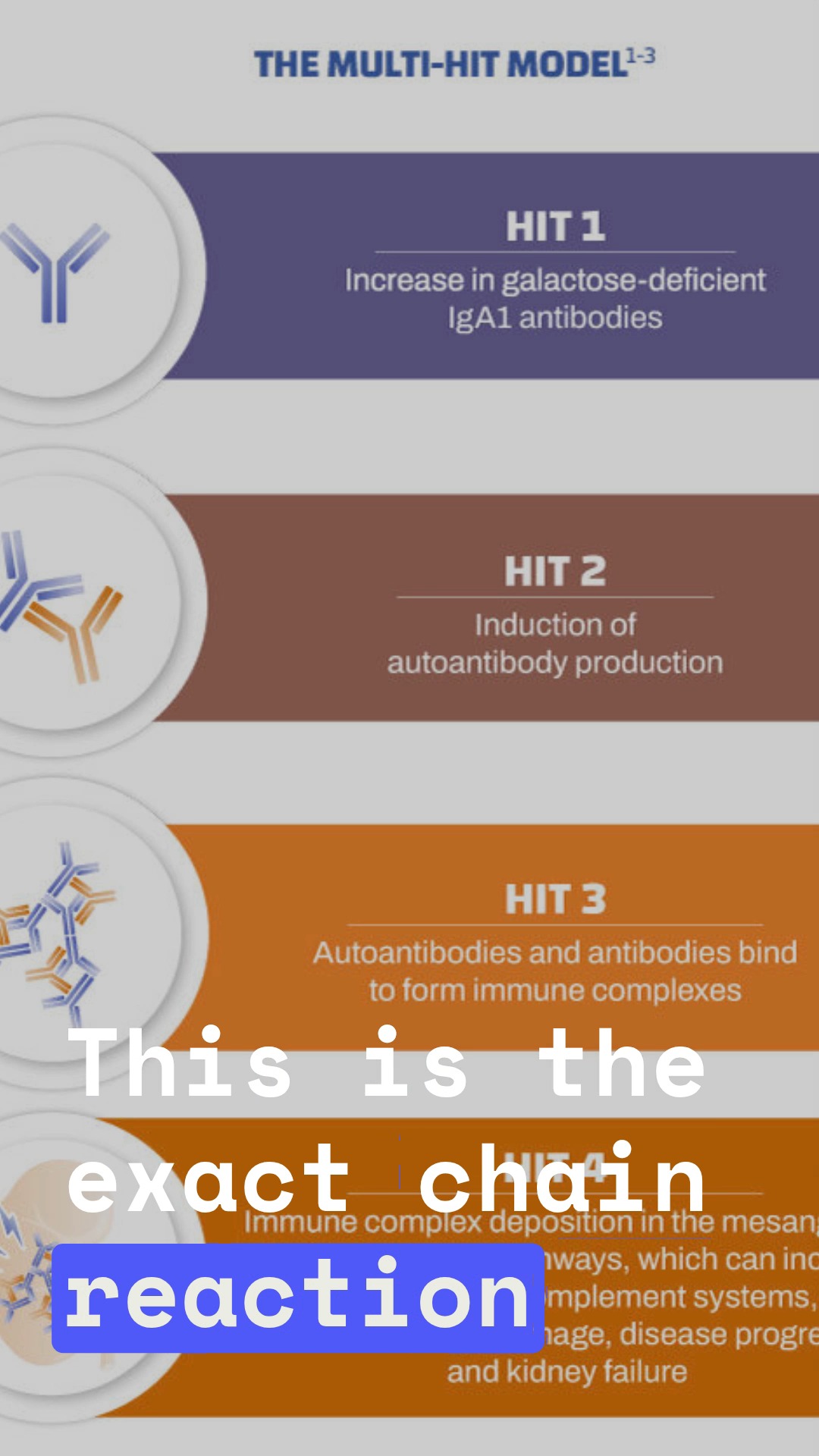 🧬 THE TRUTH
IgA nephropathy is a GUT DISEASE that manifests in your kidneys.
When you understand the mechanism, you can INTERRUPT it.
━━━━━━━━━━━━━━━━━━━━
💥 THE FOUR HITS
**HIT 1: YOUR GUT (Peyer's Patches)**
Your body produces abnormal "galactose-deficient" IgA1 antibodies.
Triggers:
- Genetics (certain gene variants)
- Infections (respiratory & gut bugs)
This is why flares happen after colds or stomach infections.
**HIT 2: AUTOIMMUNE RESPONSE**
Your immune system attacks these abnormal antibodies, forming immune complexes.
**HIT 3: KIDNEY DEPOSITION**
These complexes travel to your kidneys and deposit in the glomeruli (filters).
**HIT 4: INFLAMMATION**
Complement activation → kidney damage → blood/protein in urine → declining function.
━━━━━━━━━━━━━━━━━━━━
🎯 WHY THIS MATTERS
Understanding which "hit" drives YOUR disease = targeted treatment.
- Gut-targeted therapies (budesonide)
- Immunosuppression (when appropriate)
- SGLT2 inhibitors
- ACE inhibitors/ARBs
- Emerging complement inhibitors
We're not putting out fires AFTER the house burns down.
We're PREVENTING the fire. 🔥
━━━━━━━━━━━━━━━━━━━━
💬 HAVE IgA NEPHROPATHY?
Which hit resonates with your experience? What triggered your diagnosis?
Share below ⬇️
📺 Full breakdown → Link in bio
━━━━━━━━━━━━━━━━━━━━
📚 REFERENCES
- Suzuki, H., et al. (2011). Pathophysiology of IgA nephropathy. JASN, 22(10), 1795-1803.
- Wyatt, R. J., & Julian, B. A. (2013). IgA nephropathy. NEJM, 368(25), 2402-2414.
- Lai, K. N., et al. (2016). IgA nephropathy. Nature Reviews Disease Primers, 2, 16001.
━━━━━━━━━━━━━━━━━━━━
⚕️ Educational only—not medical advice. Treatment varies by biopsy, kidney function, and individual factors. Consult your nephrologist before any changes.
━━━━━━━━━━━━━━━━━━━━
Dr. Sean Hashmi, MD, MS, FASN
Board-Certified Nephrologist
🌐 selfprinciple.org | 📧 Newsletter | 💎 Patreon
Practice kindness and gratitude. 🙏💙
#IgANephropathy #KidneyDisease #Nephrology #GutHealth #AutoimmuneDisease #KidneyHealth #FourHitHypothesis #CKD #Glomerulonephritis #SeanHashmiMD #Nephrologist #EvidenceBasedMedicine #ChronicIllness #KidneyWarrior #MedicalEducation #HealthEducation